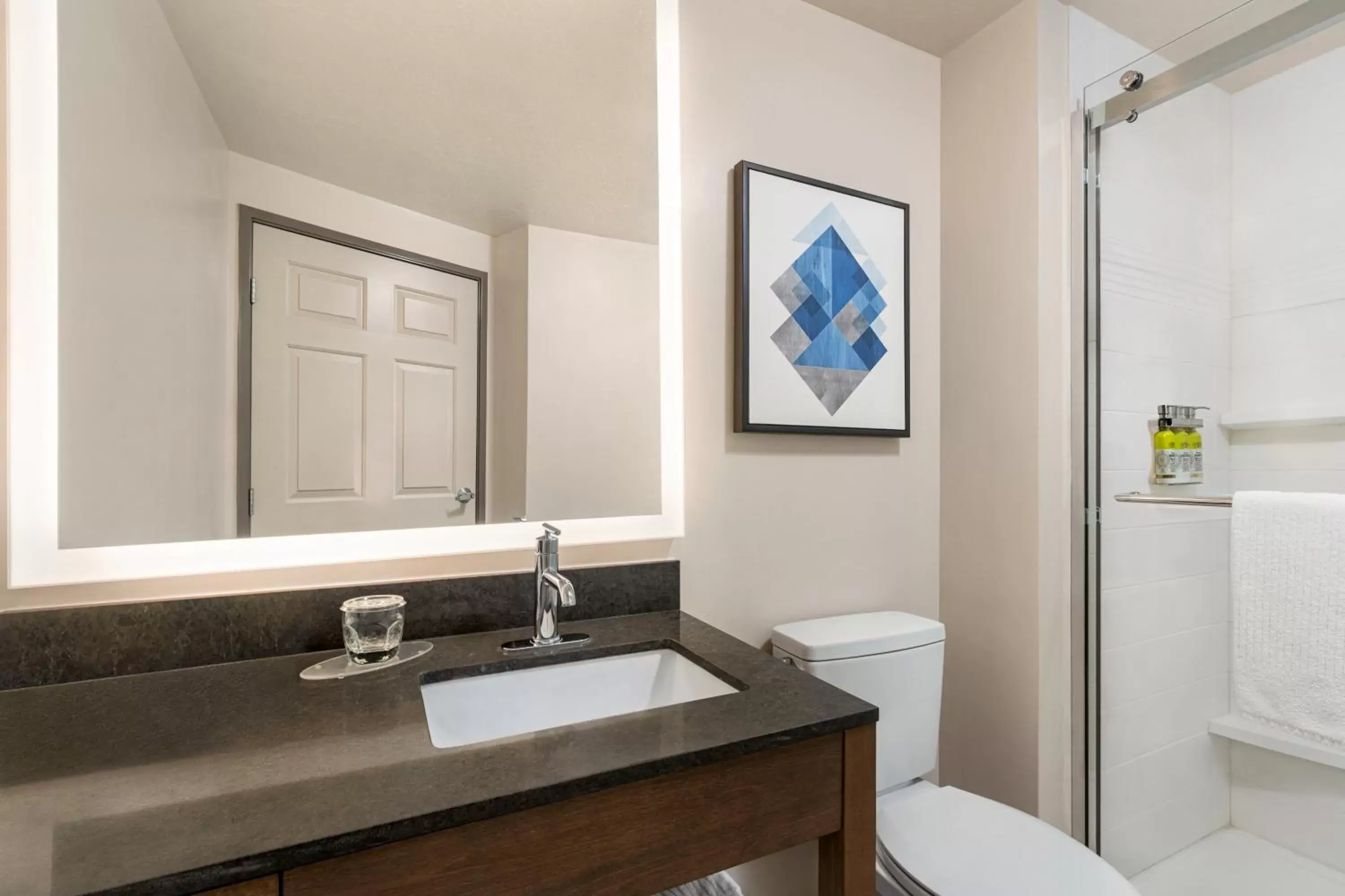 Shower, Bathroom in Candlewood Suites Boise-Meridian, an IHG Hotel