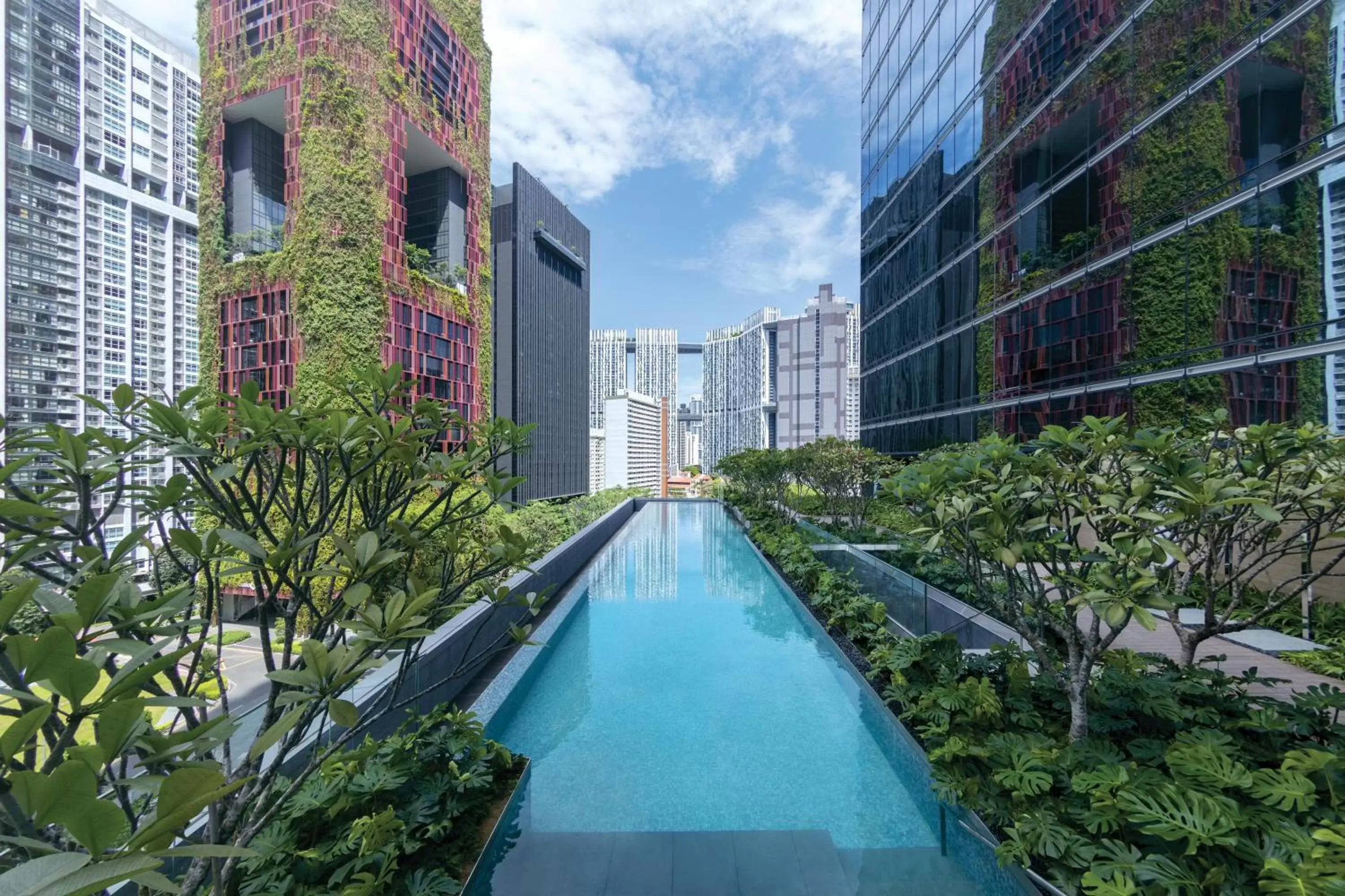 Swimming Pool in Sofitel Singapore City Centre