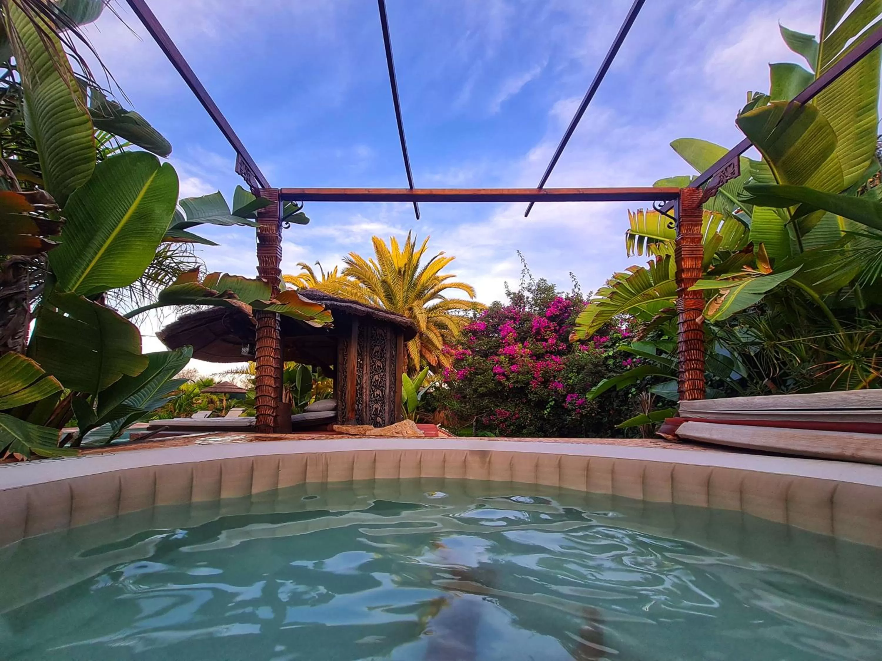 Garden, Swimming Pool in Villa Paraiso - Naturism Optional Adults Only