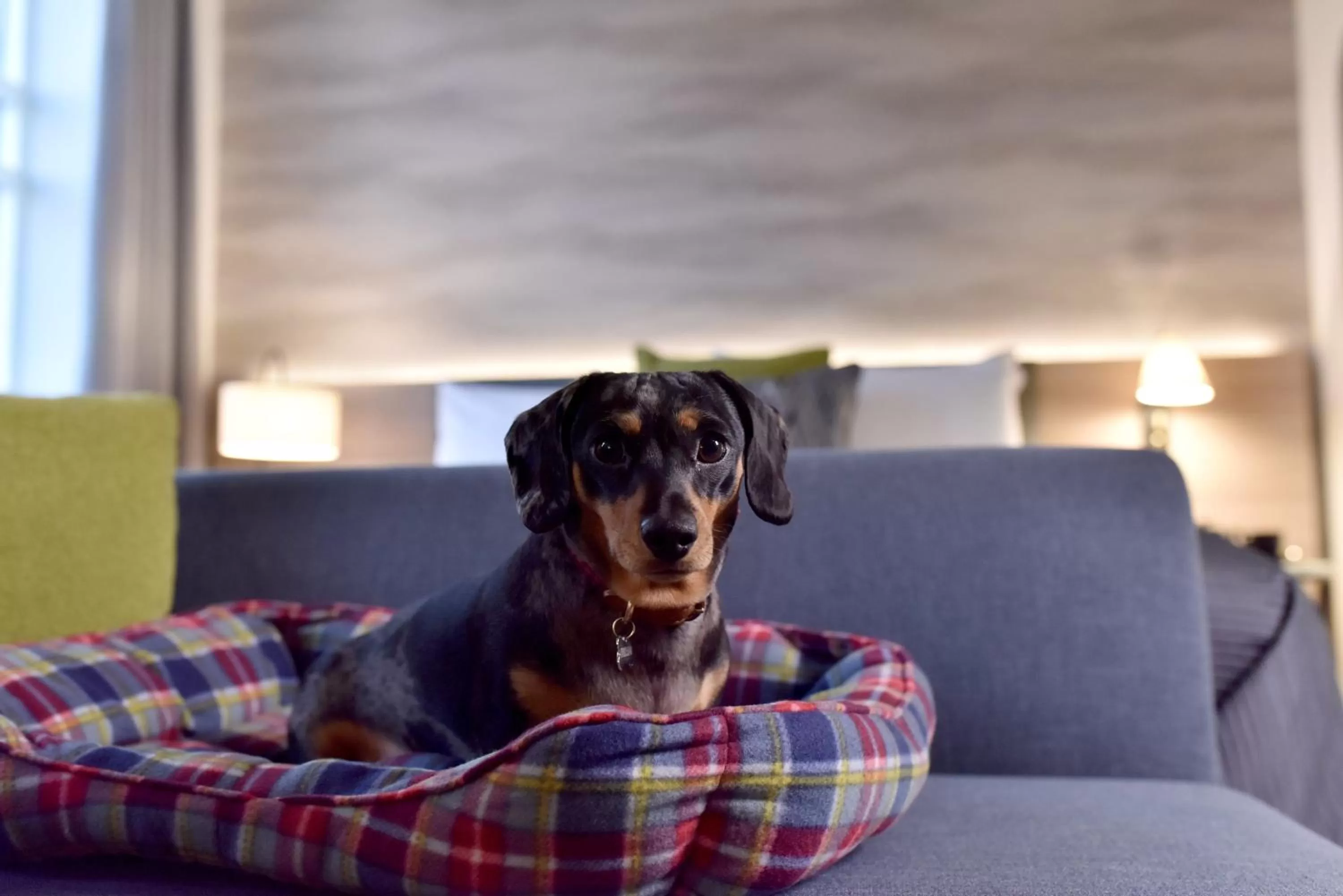 Other in Staybridge Suites - Dundee by IHG