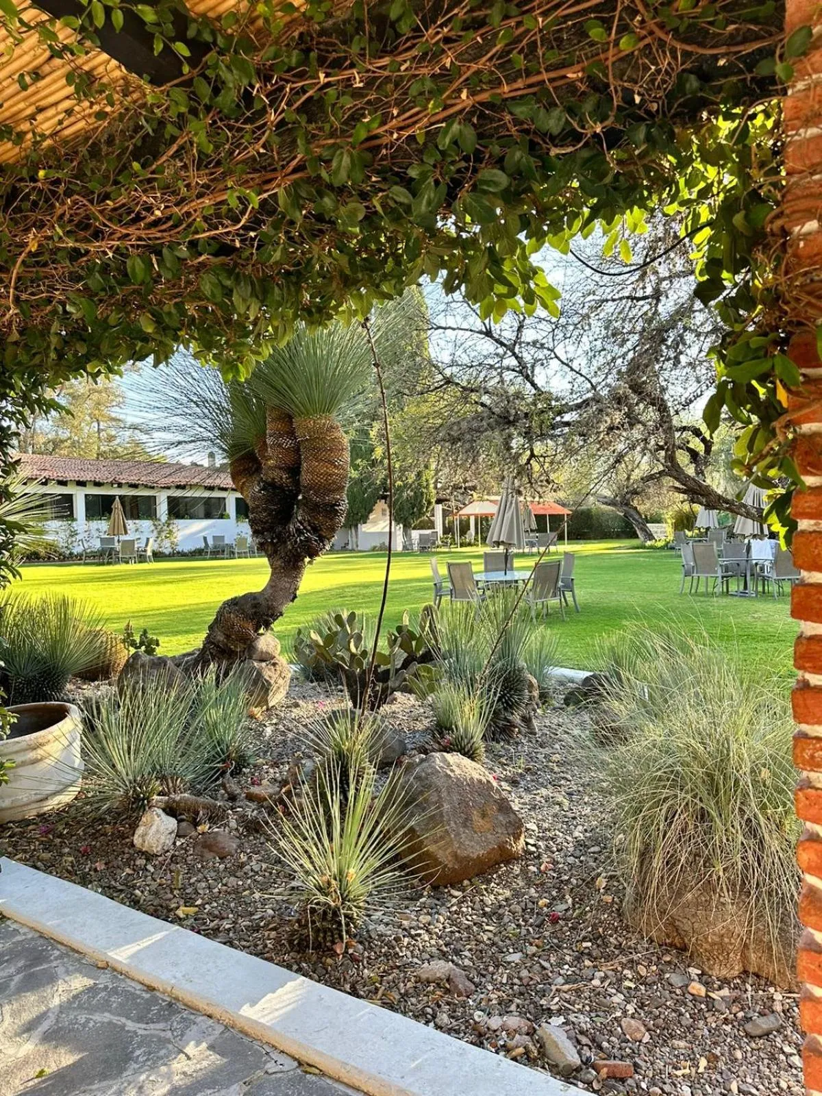 Natural landscape in Hotel Hacienda Taboada (Aguas Termales)