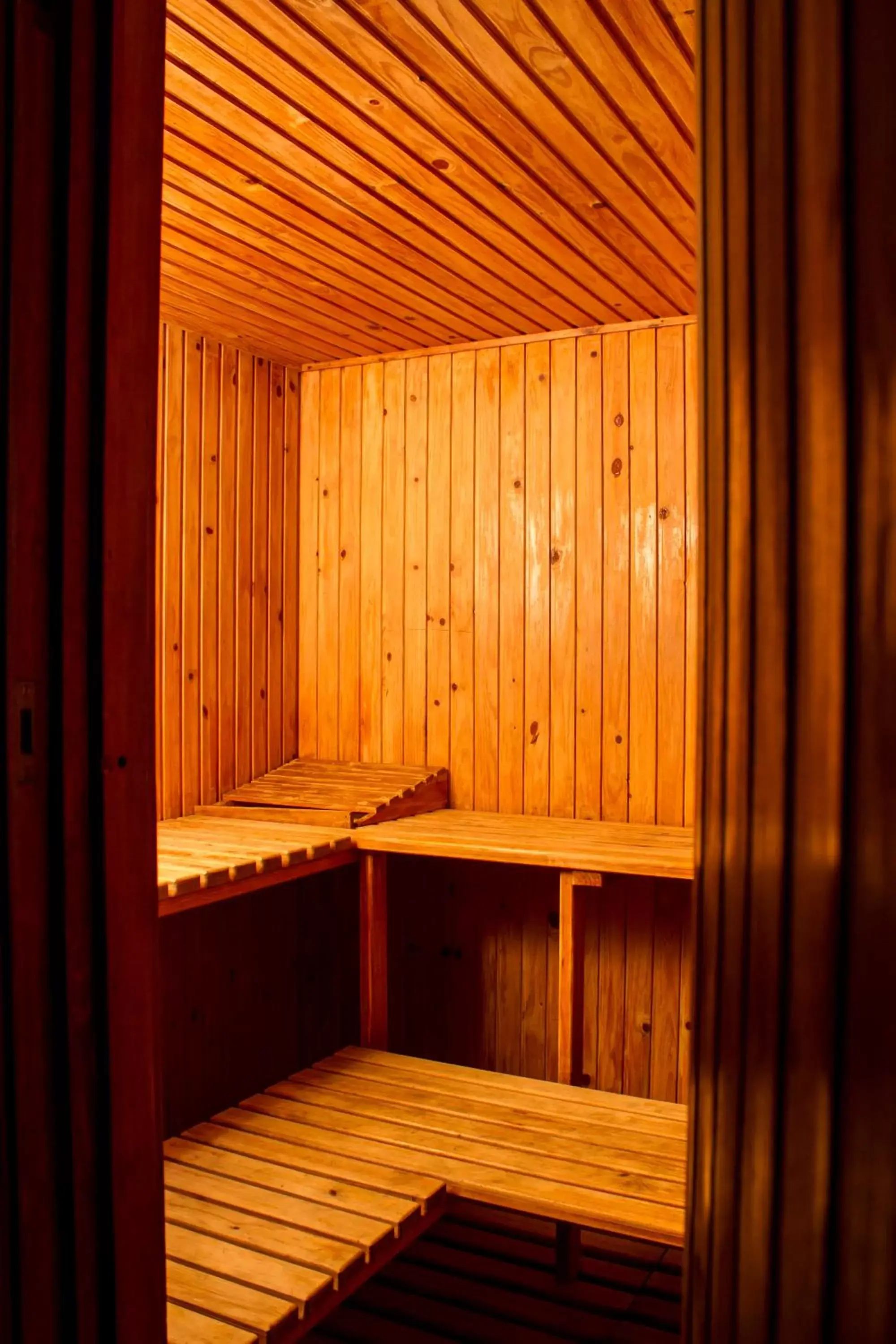 Sauna in Villa Simonne