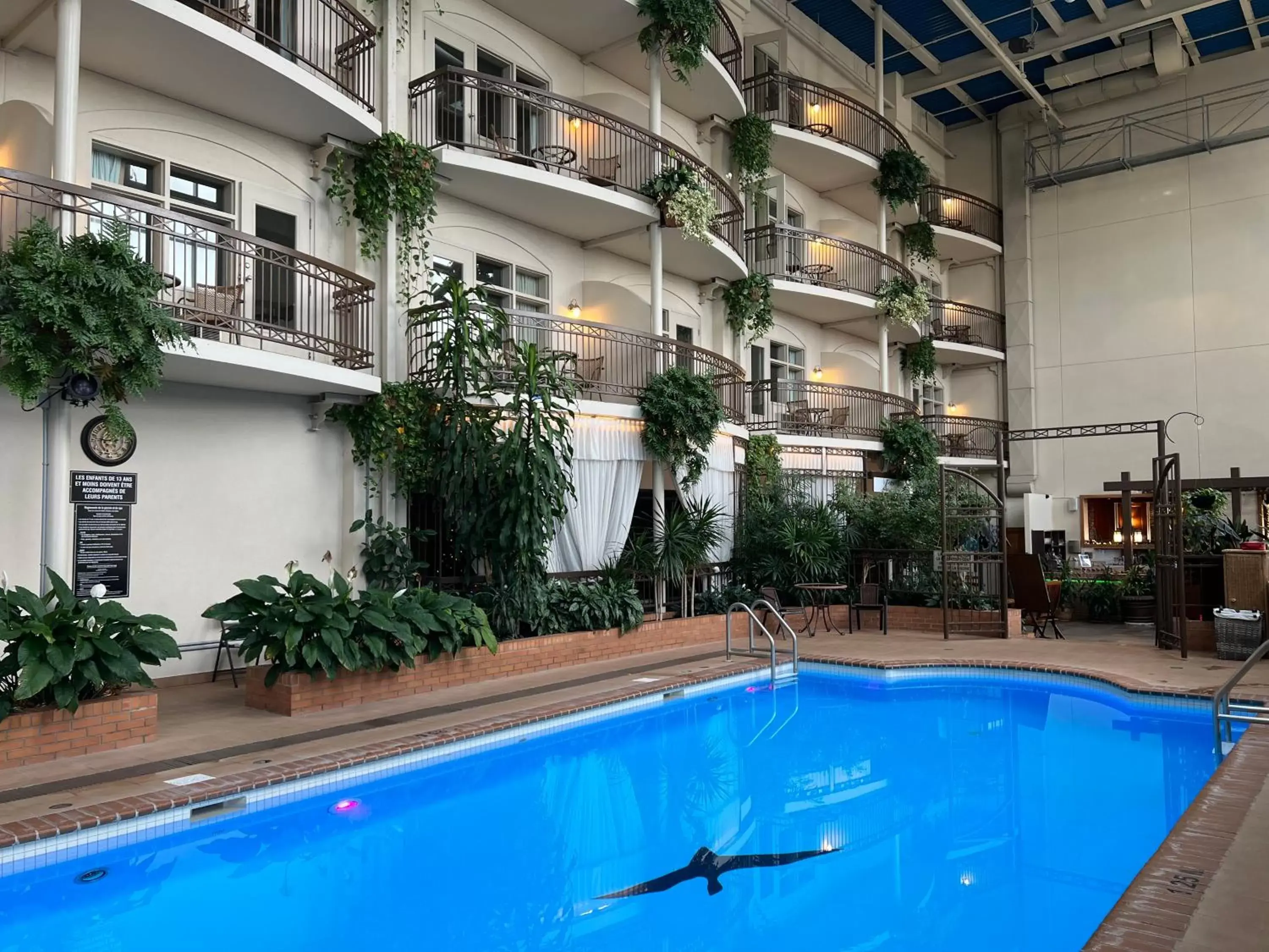 Day, Swimming Pool in Hotel L'Oie des neiges