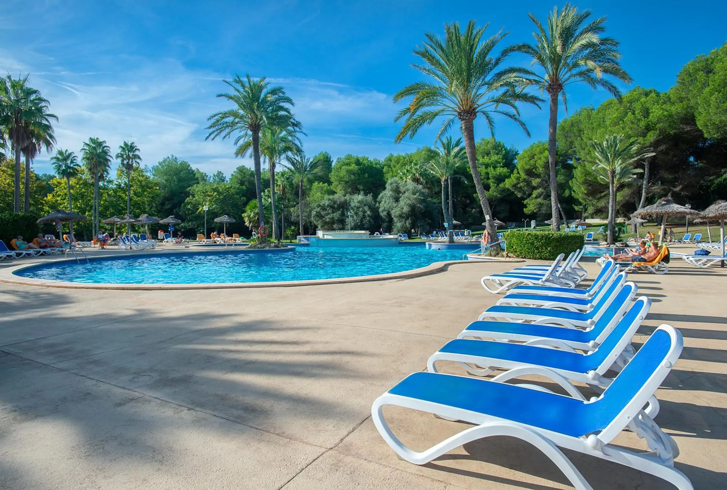 Pool view, Swimming Pool in Exagon Park