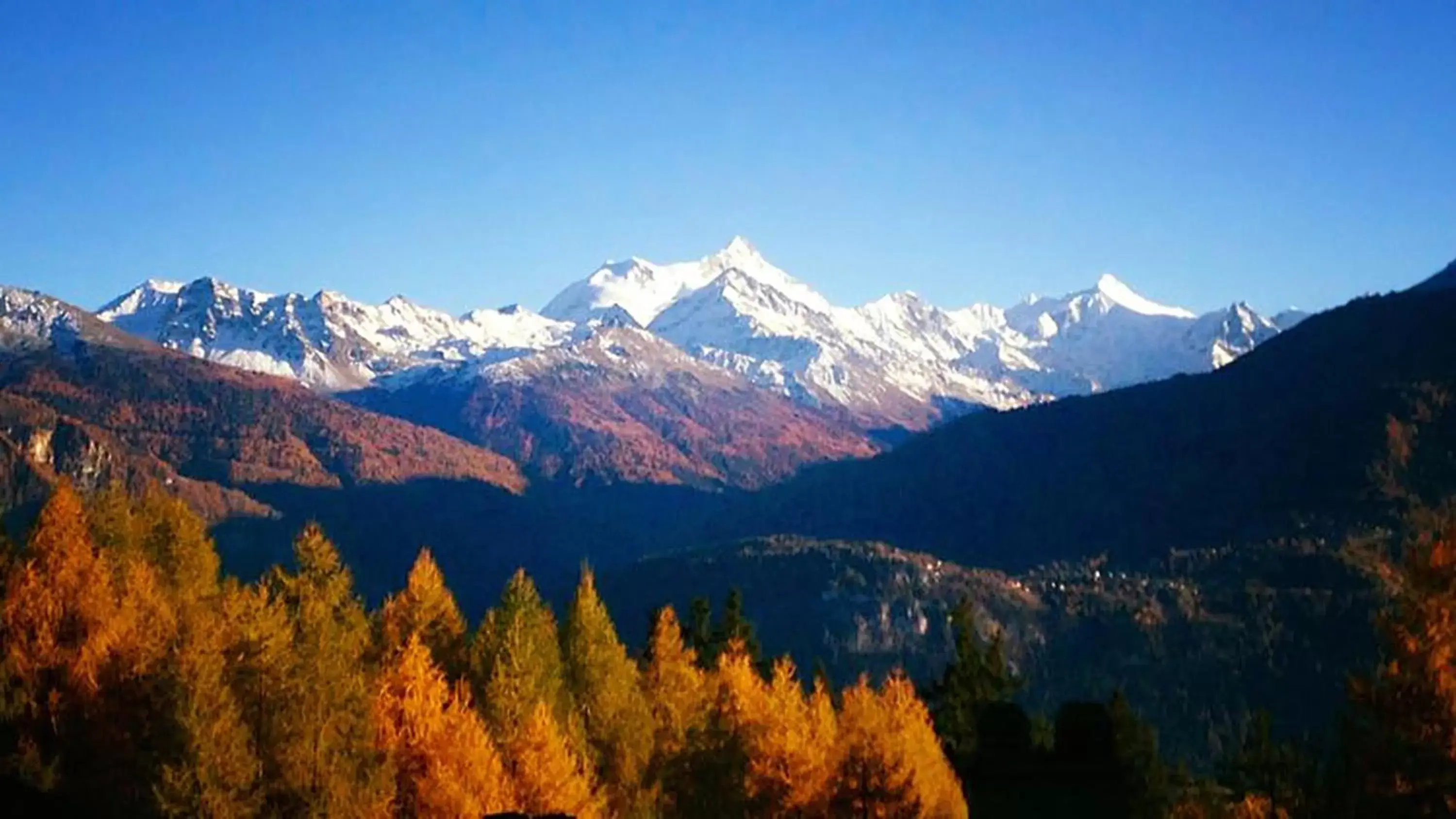 Garden view, Natural Landscape in Hotel La Prairie