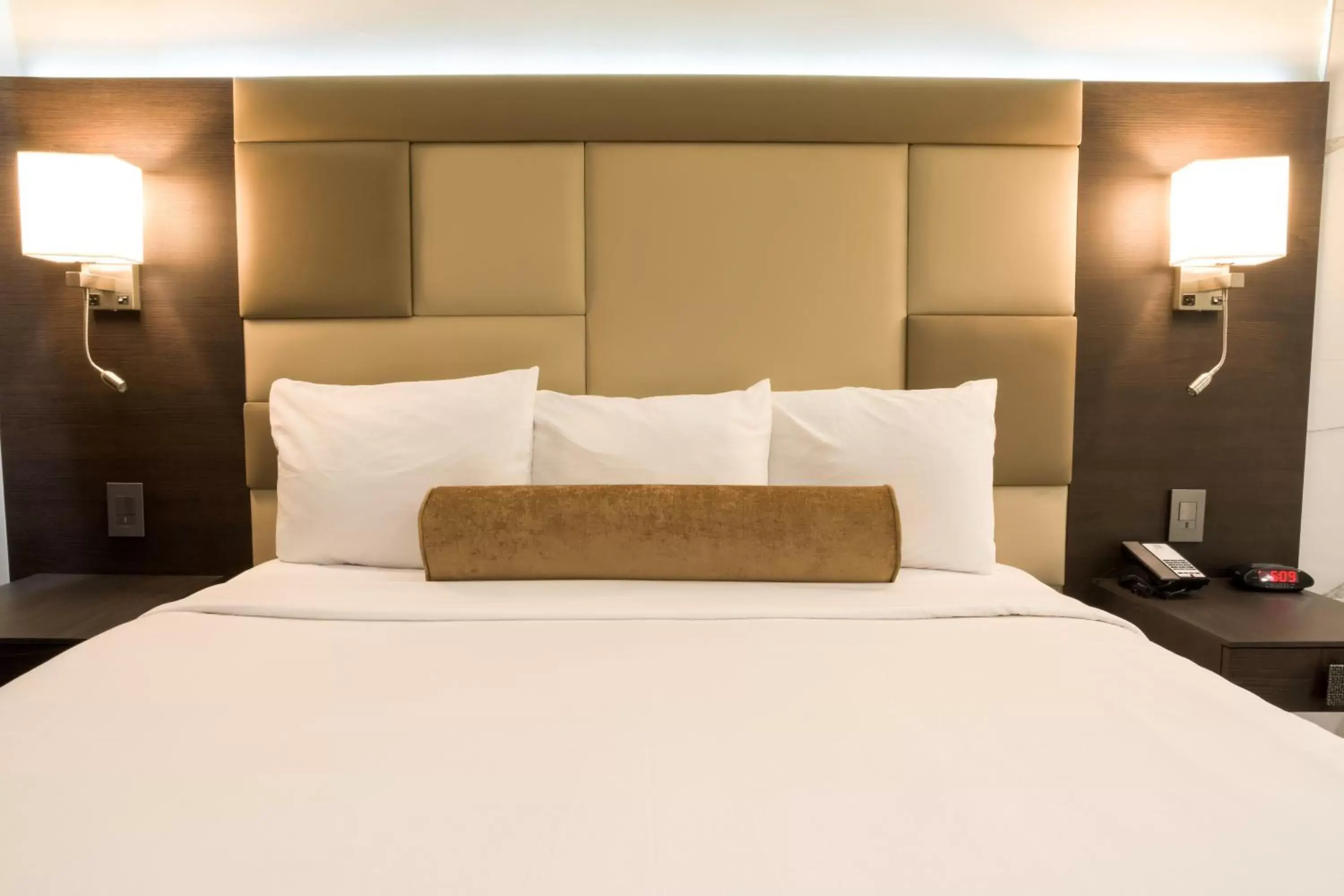 Bed in Hotel Xilo Glendale
