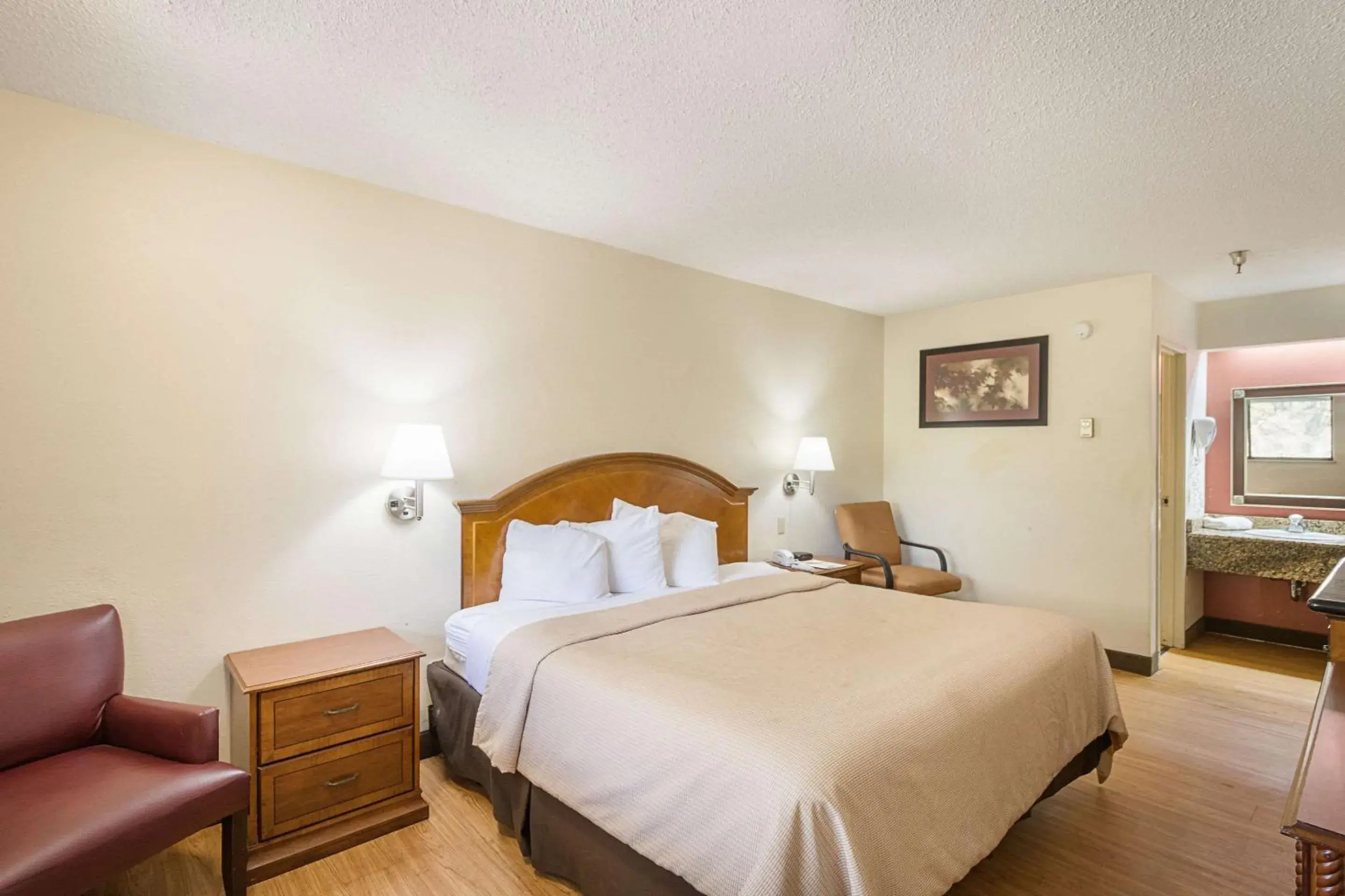 Photo of the whole room, Bed in Rodeway Inn Tampa near Busch Gardens-USF