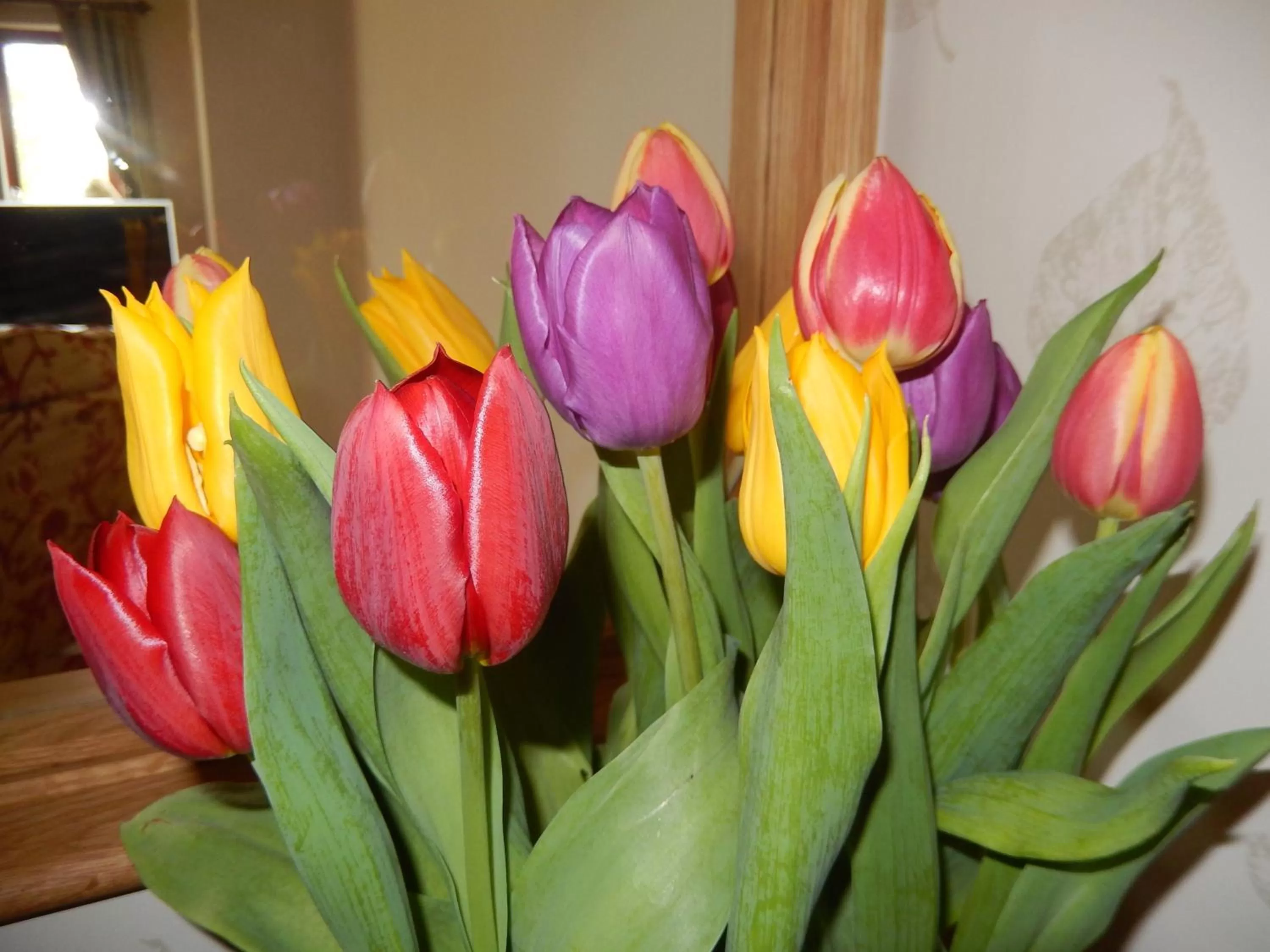 Lobby or reception, Food in Moor View