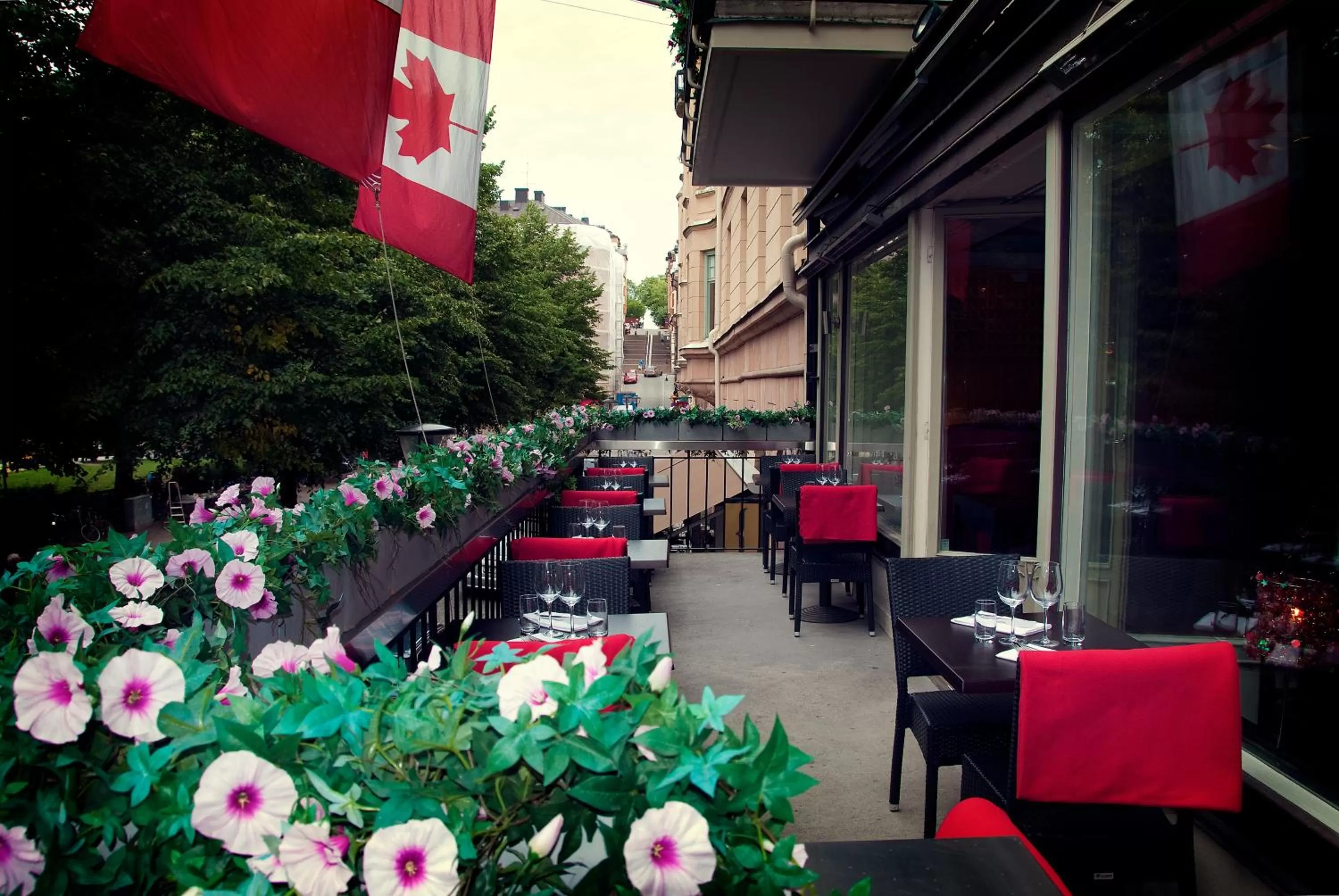 Restaurant/places to eat in Hotel Rival