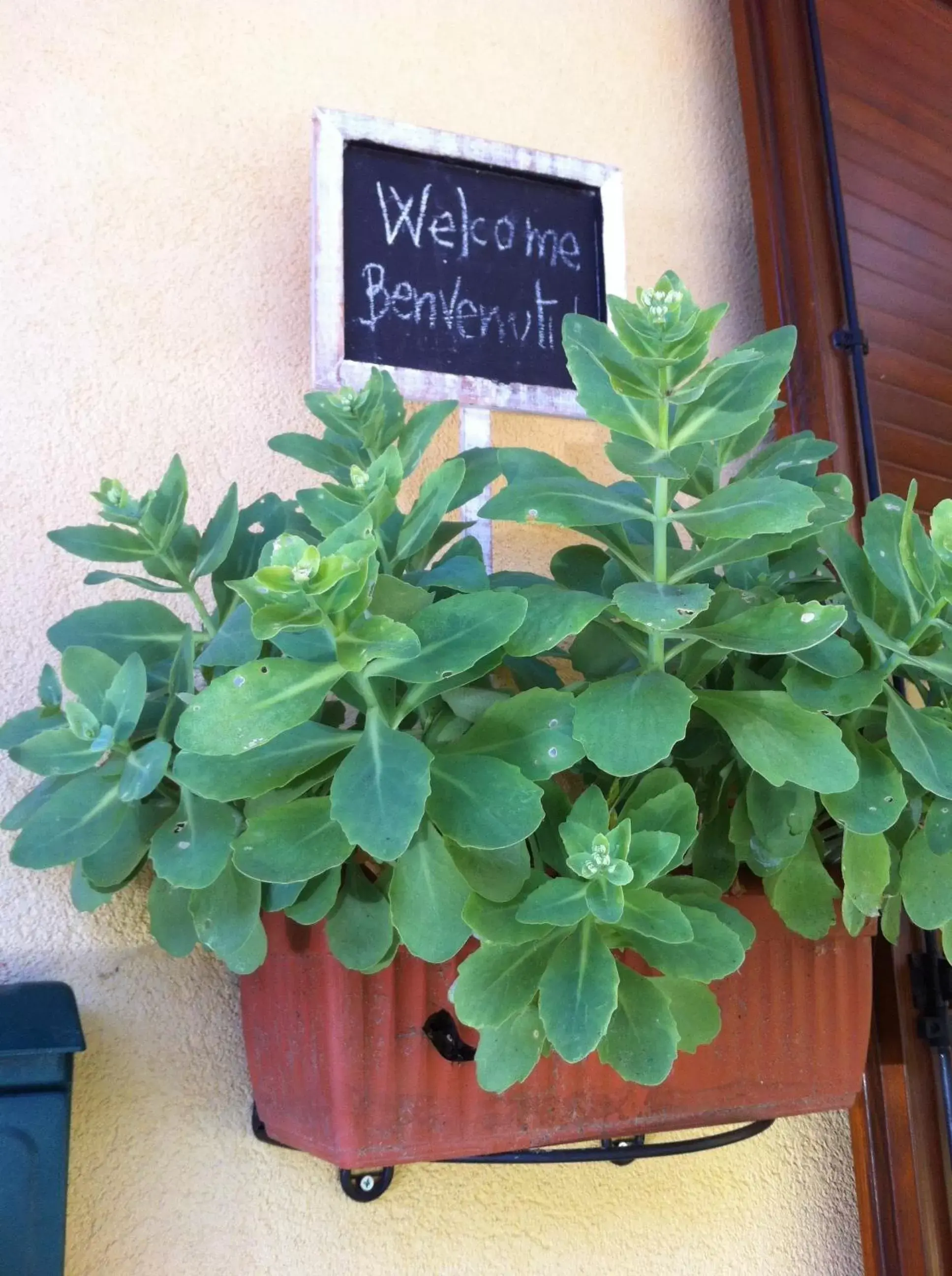 Facade/entrance in B&B Il Portico del Conte