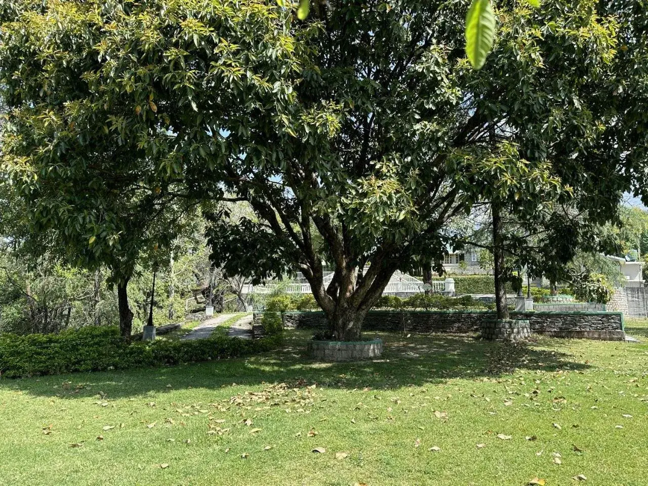 Natural landscape, Garden in Brij Anayra, Dharamshala