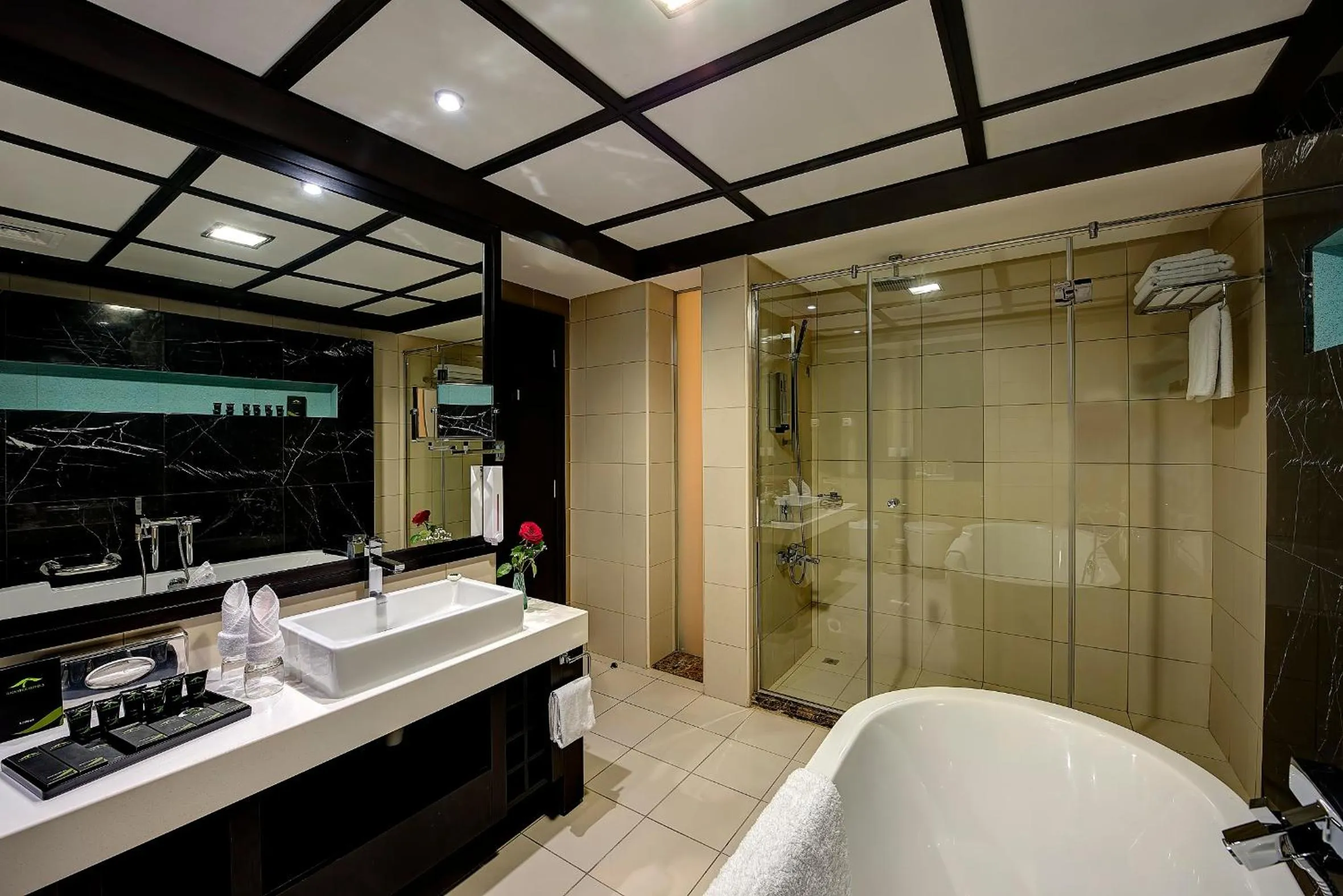 Bathroom in Raintree Rolla Hotel