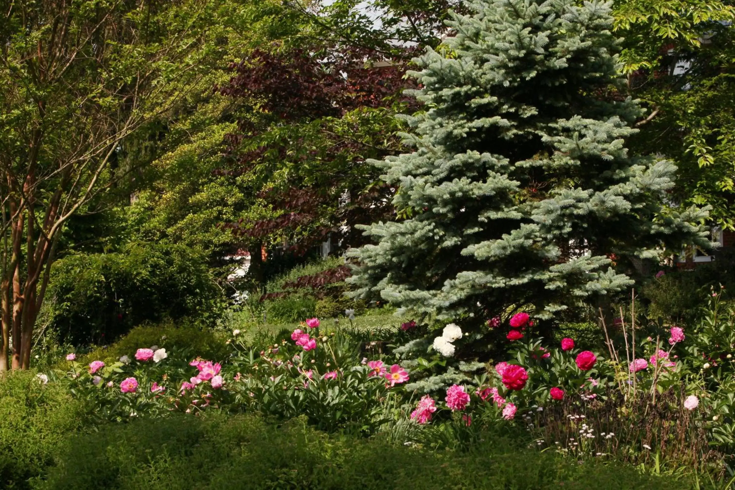 Spring, Garden in South Court Inn