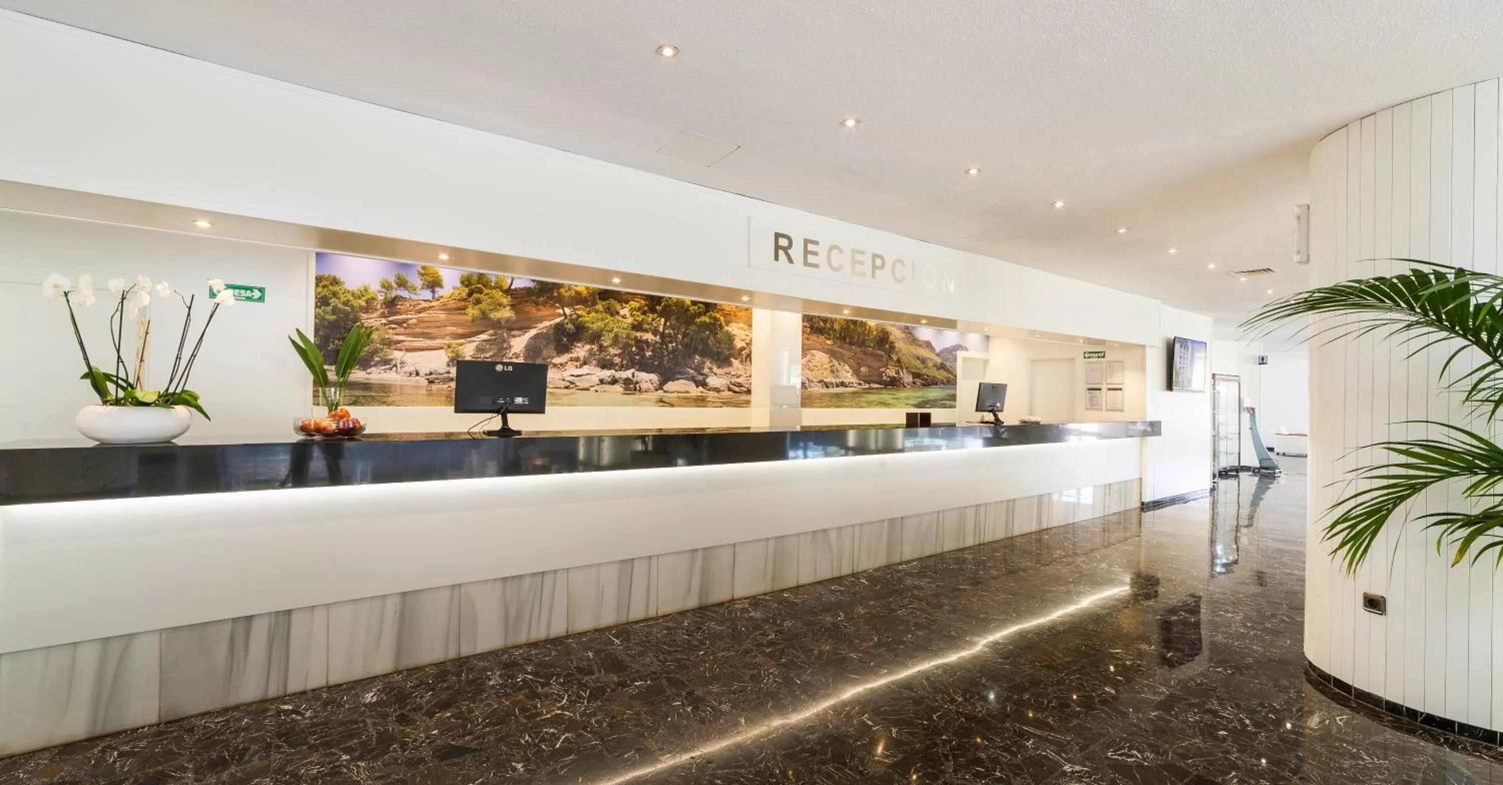 Lobby or reception in Globales Mimosa