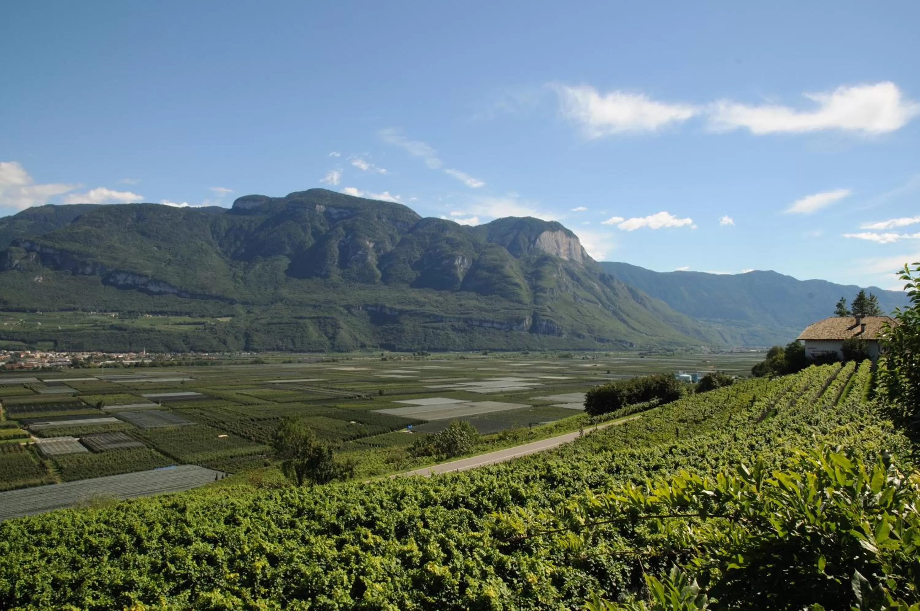 View (from property/room) in Garni Hotel Ritterhof
