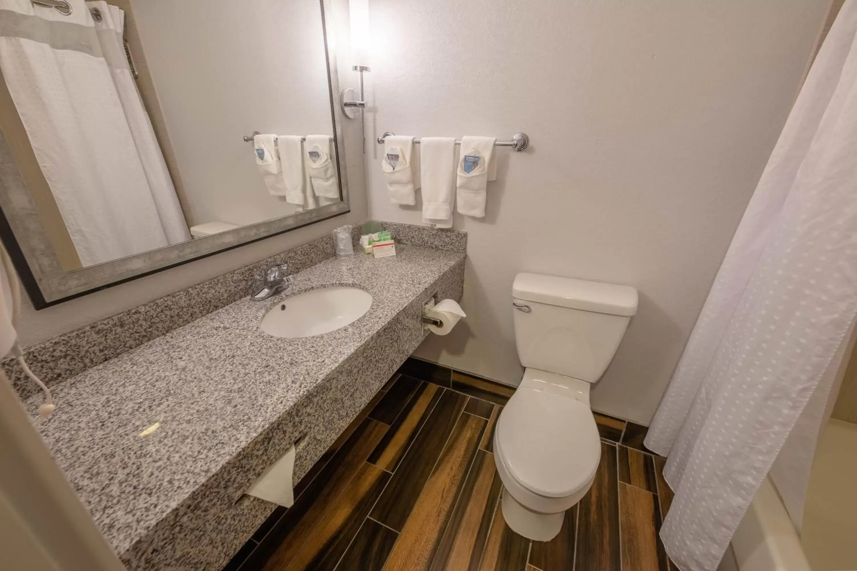 Bathroom in Holiday Inn Manahawkin/Long Beach Island, an IHG Hotel