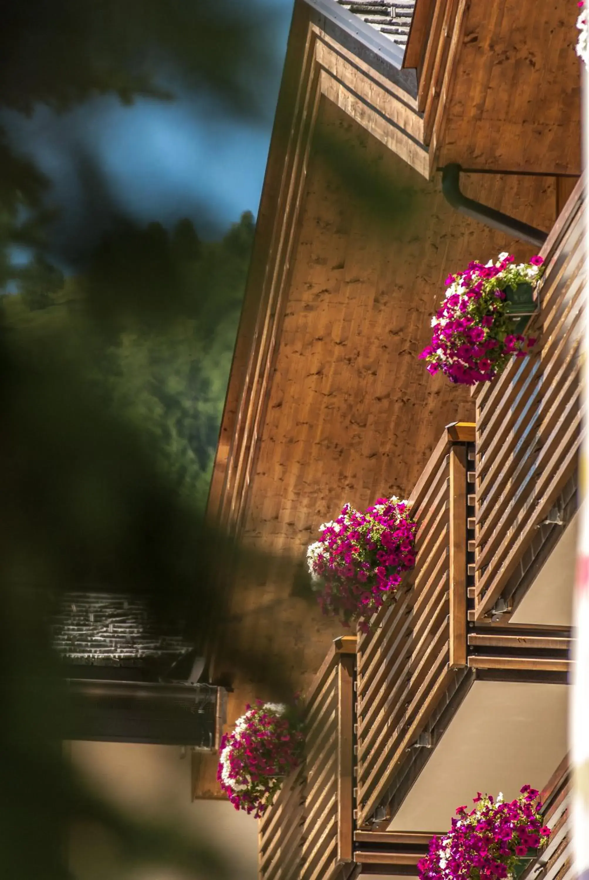 Decorative detail, Balcony/Terrace in Hotel Lac Salin Spa & Mountain Resort