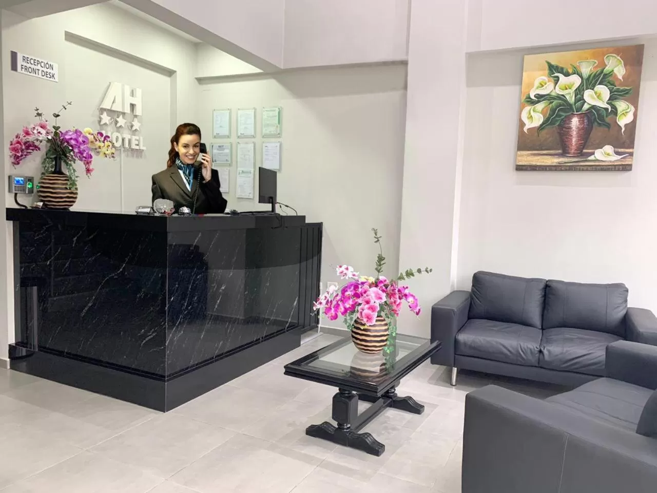 On site, Lobby/Reception in AH Hotel