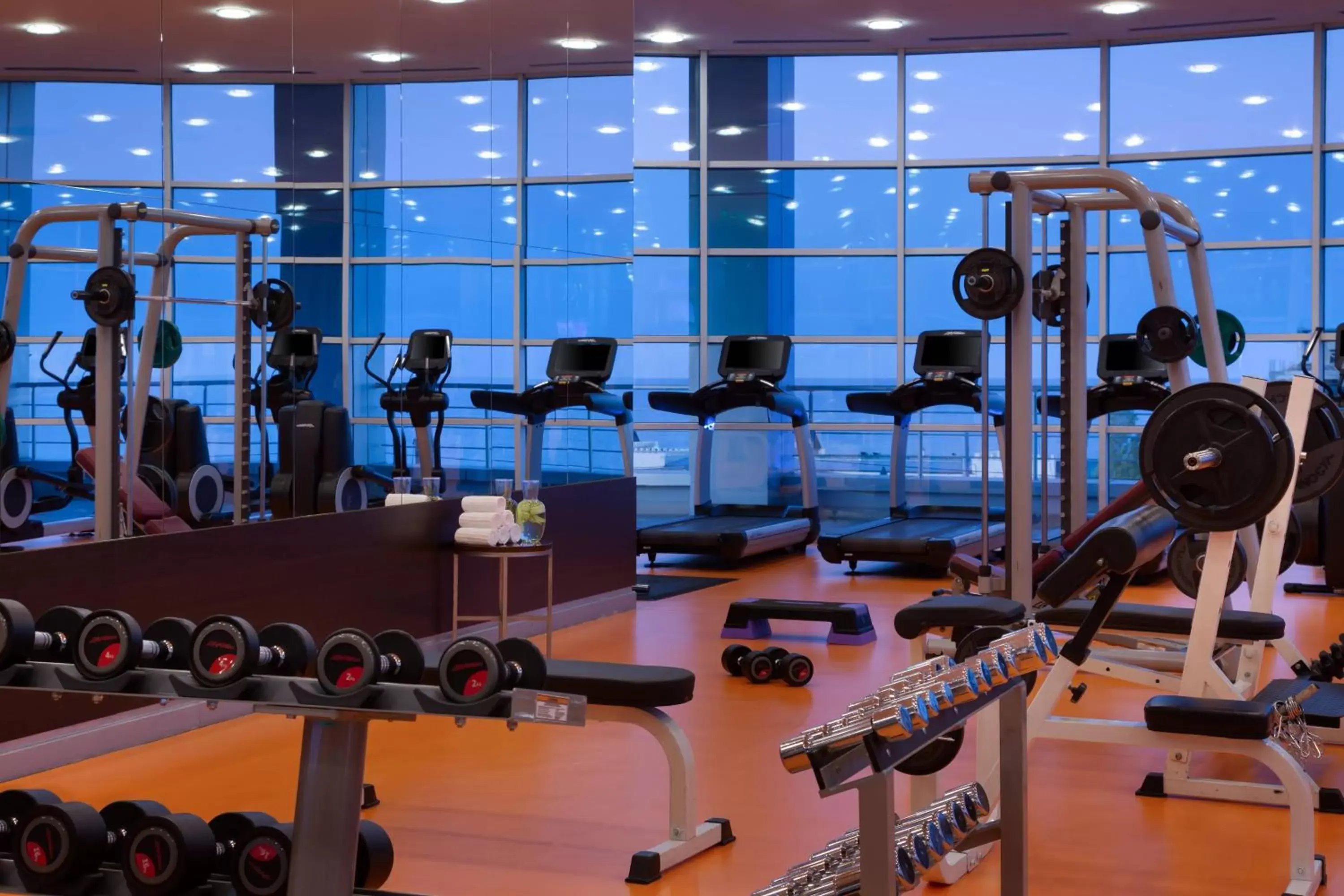 Fitness centre/facilities, Fitness Center/Facilities in Renaissance Aktau Hotel