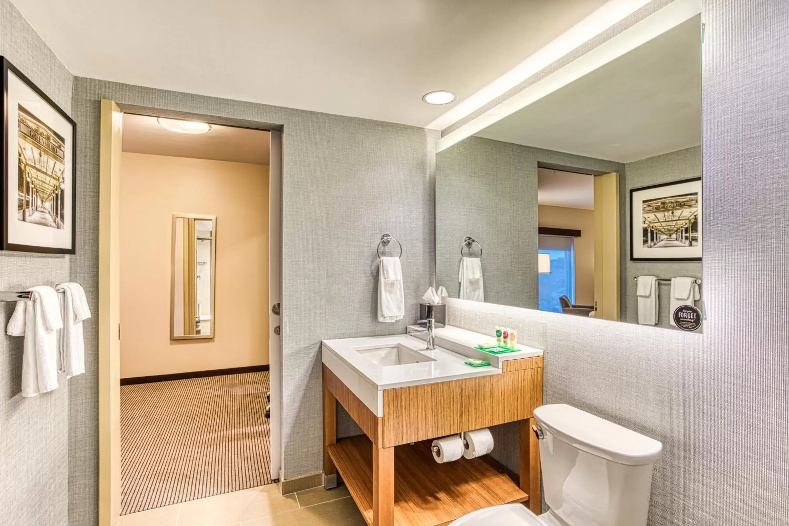 Toilet, Bathroom in Hyatt Place Greensboro Downtown