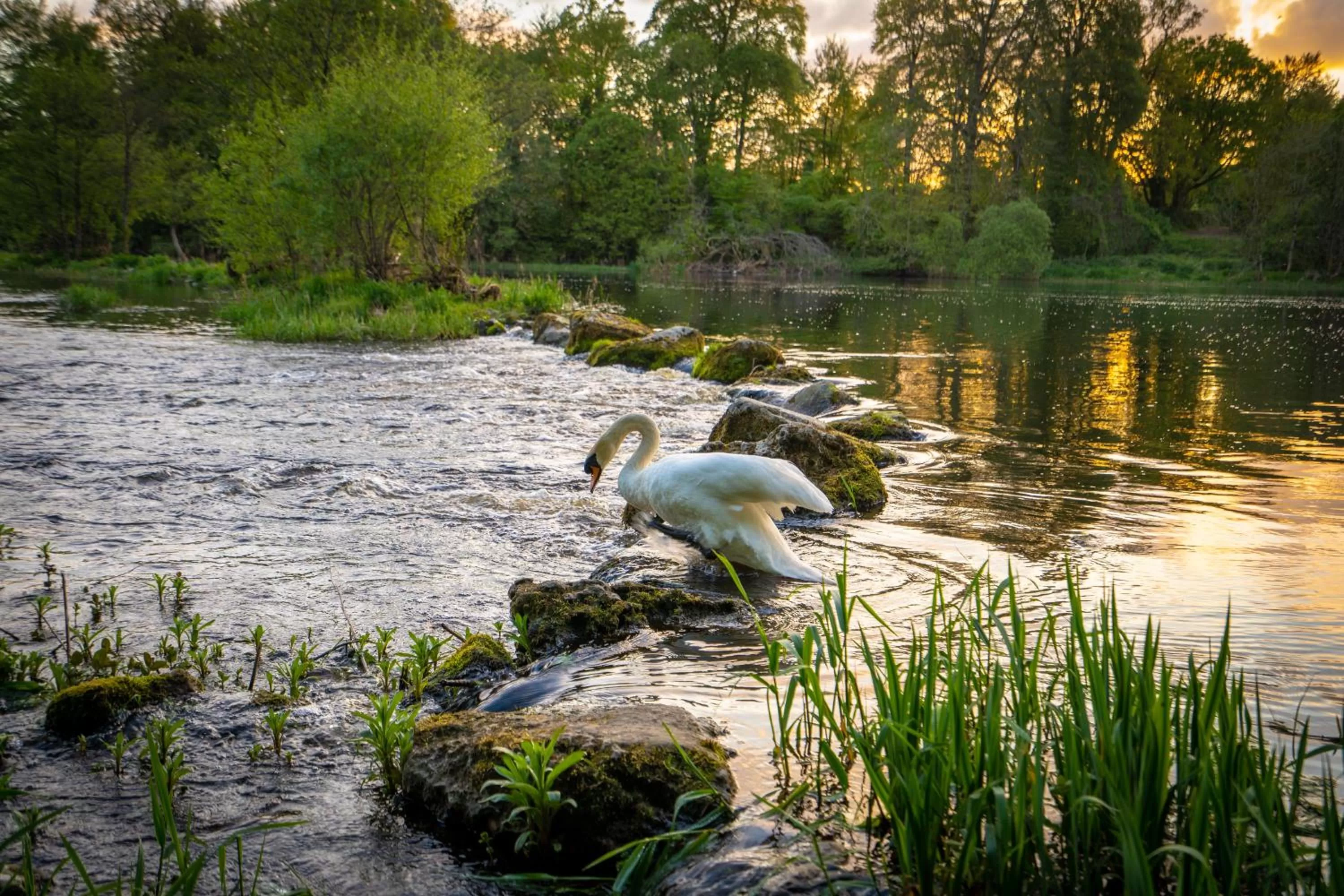 Natural landscape in Castle Oaks House Hotel