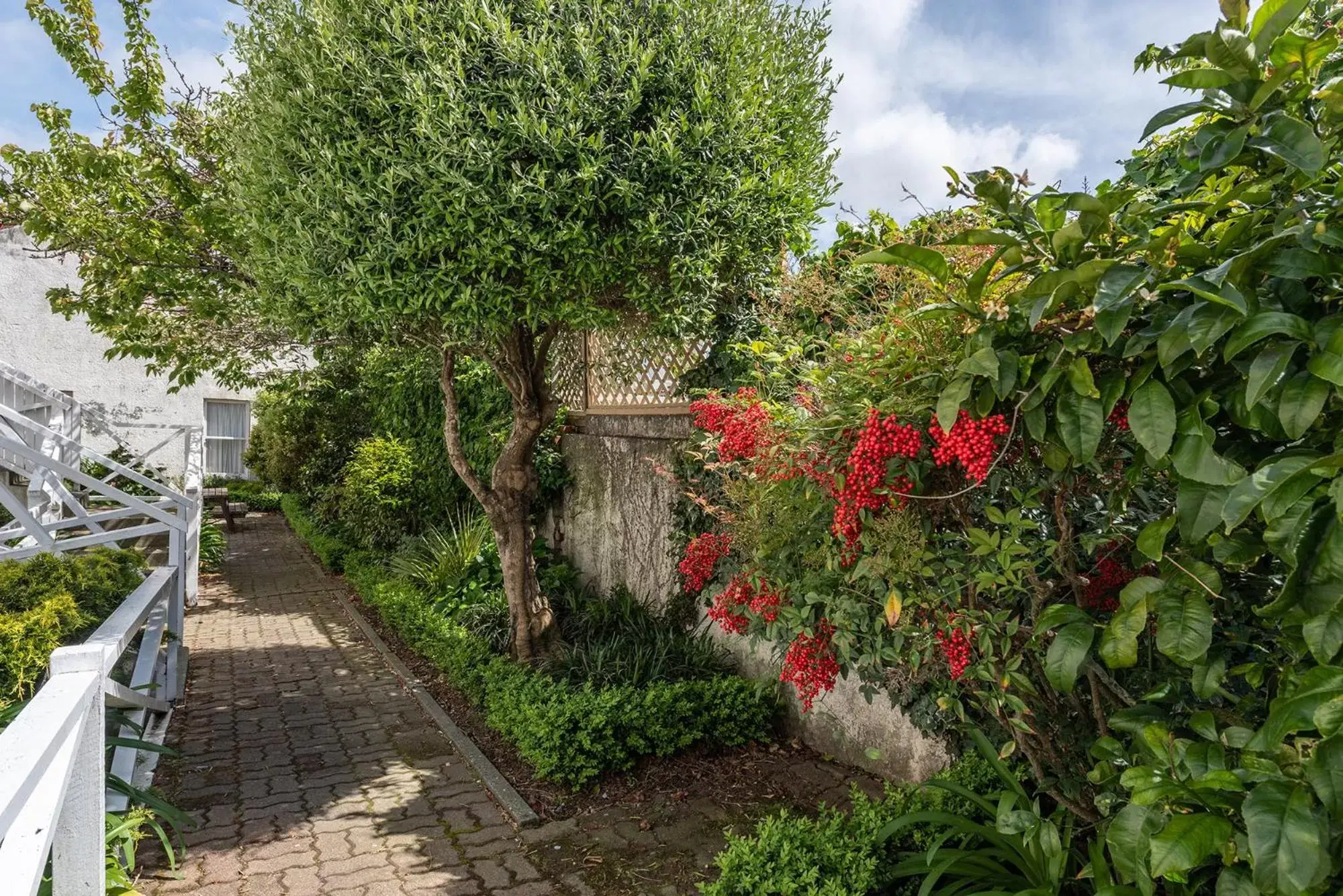 Garden in Apollo Lodge Motel