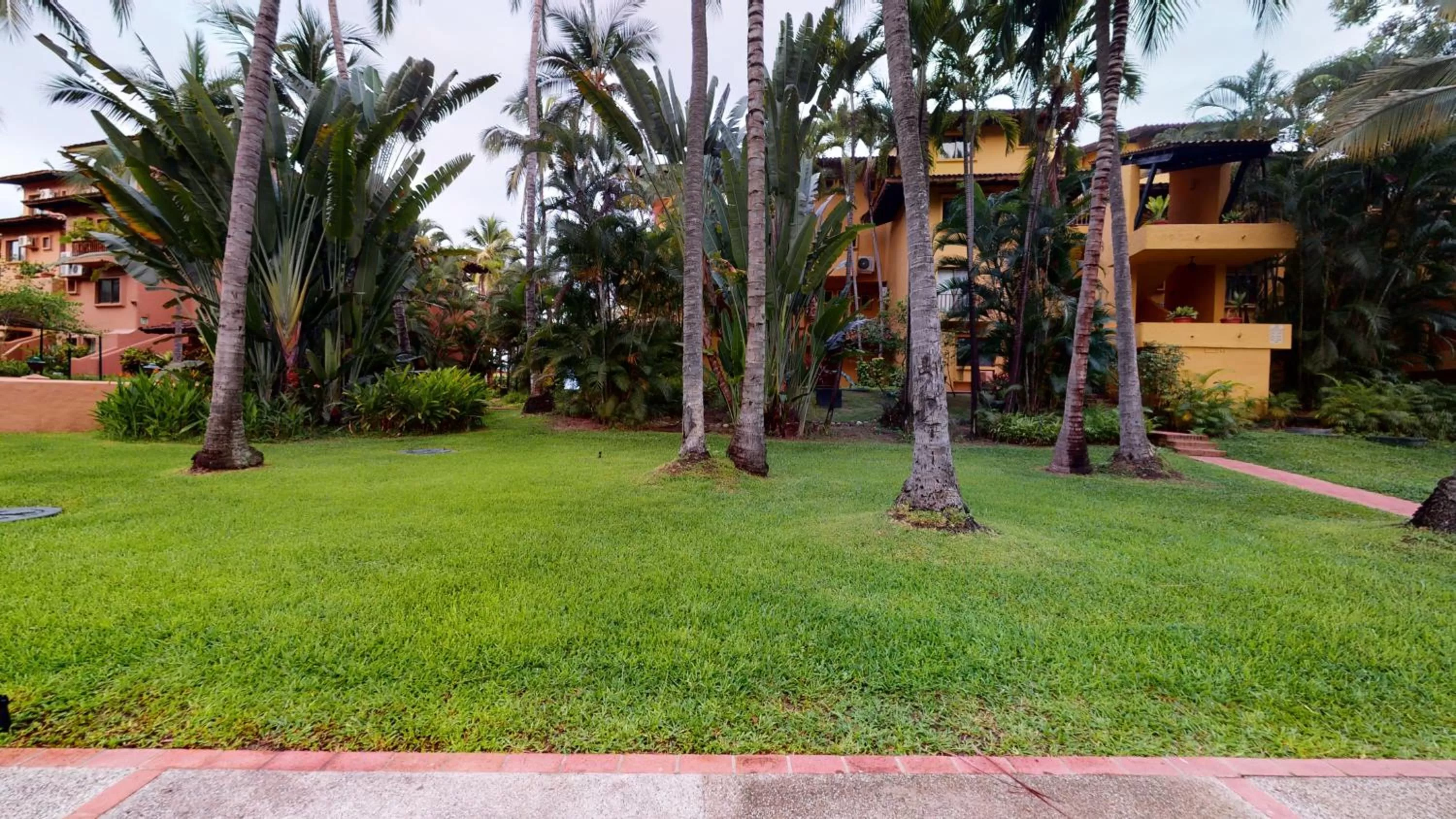 Natural landscape in Park Royal Homestay Los Tules Puerto Vallarta