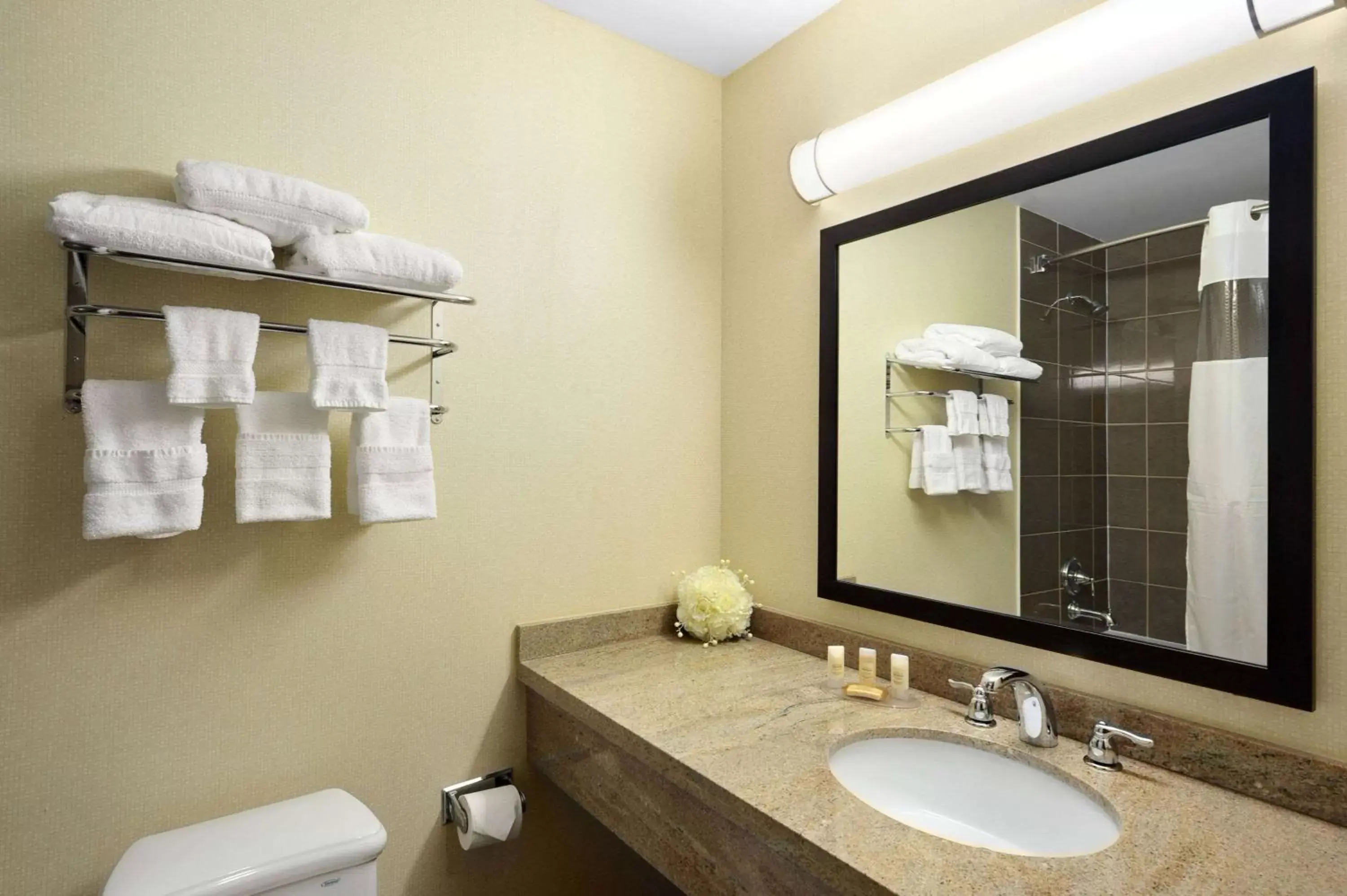 TV and multimedia, Bathroom in Days Inn by Wyndham Brampton