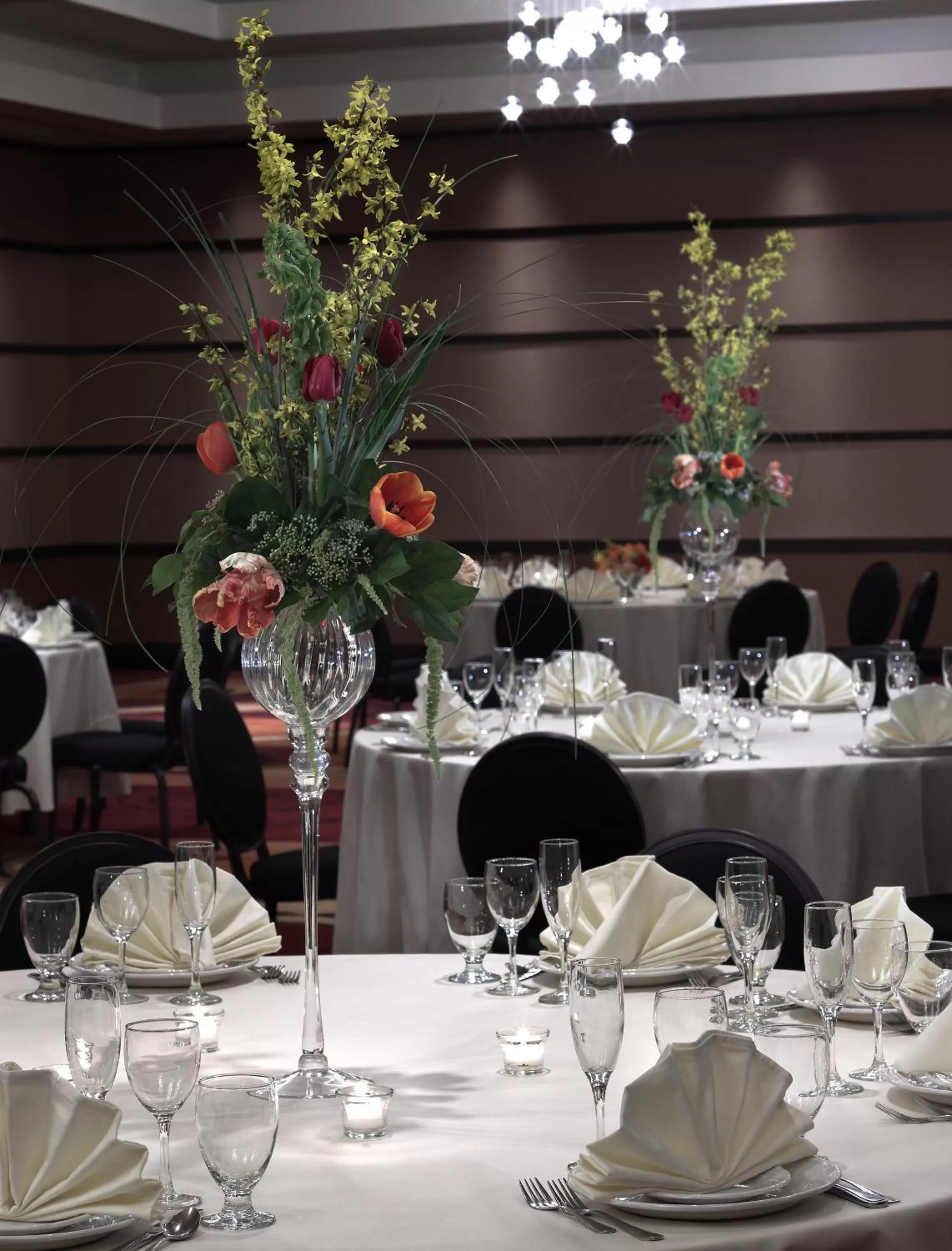 Banquet/Function facilities in Hotel Murano