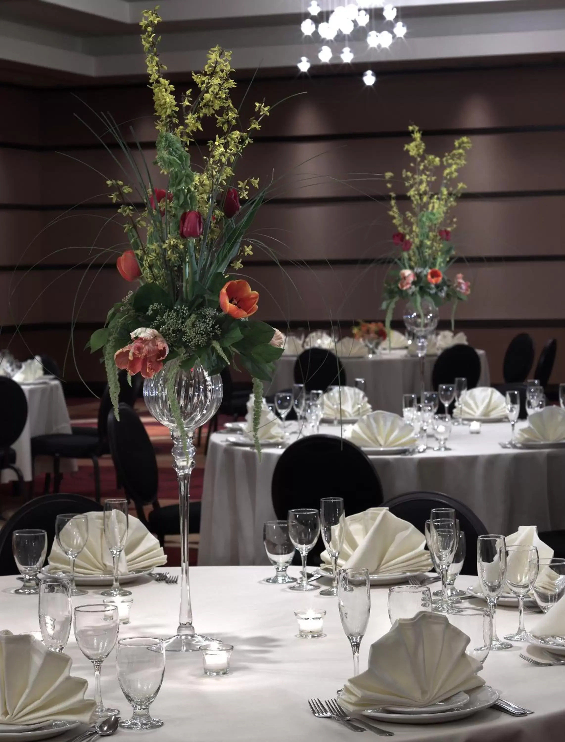 Banquet/Function facilities, Restaurant/Places to Eat in Hotel Murano