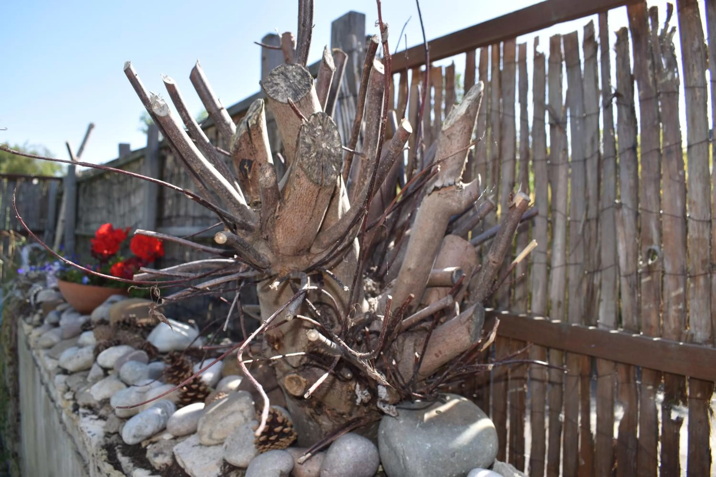 Middle Farm Villa B&B