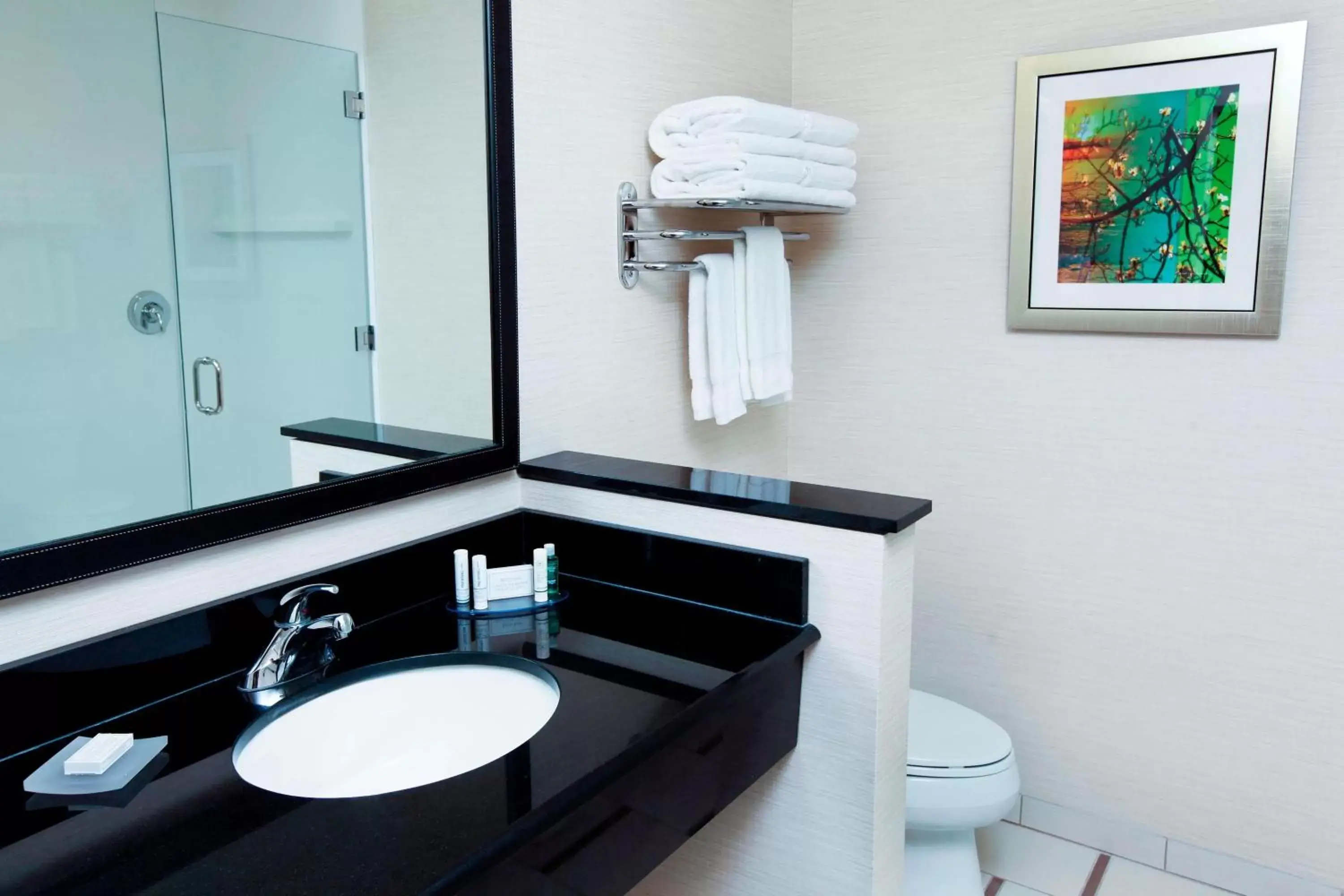 Photo of the whole room, Bathroom in Fairfield Inn & Suites by Marriott Omaha Papillion