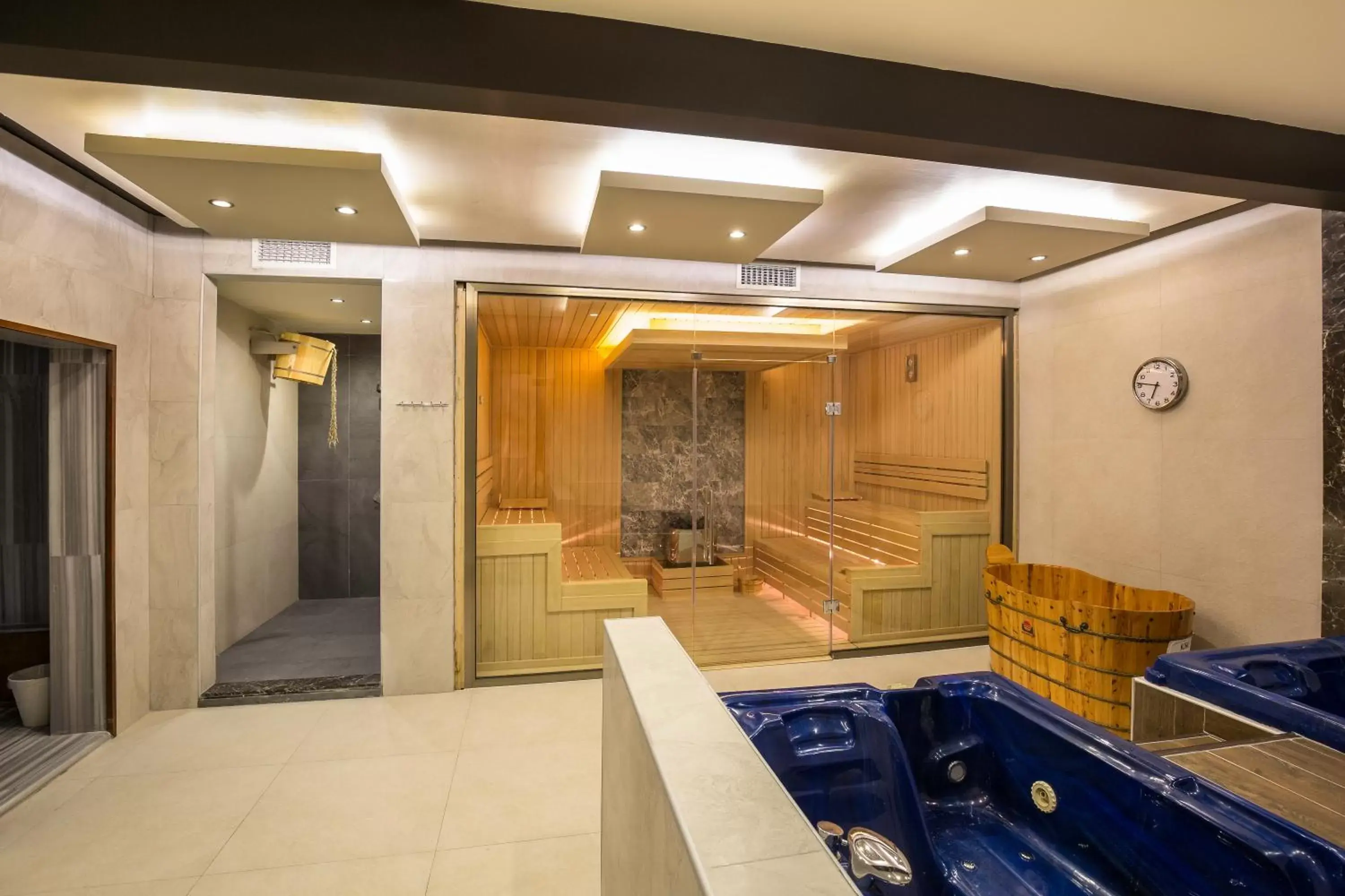 Hot Spring Bath, Kitchen/Kitchenette in Thermalium Wellness & Spa Hotel by Vima