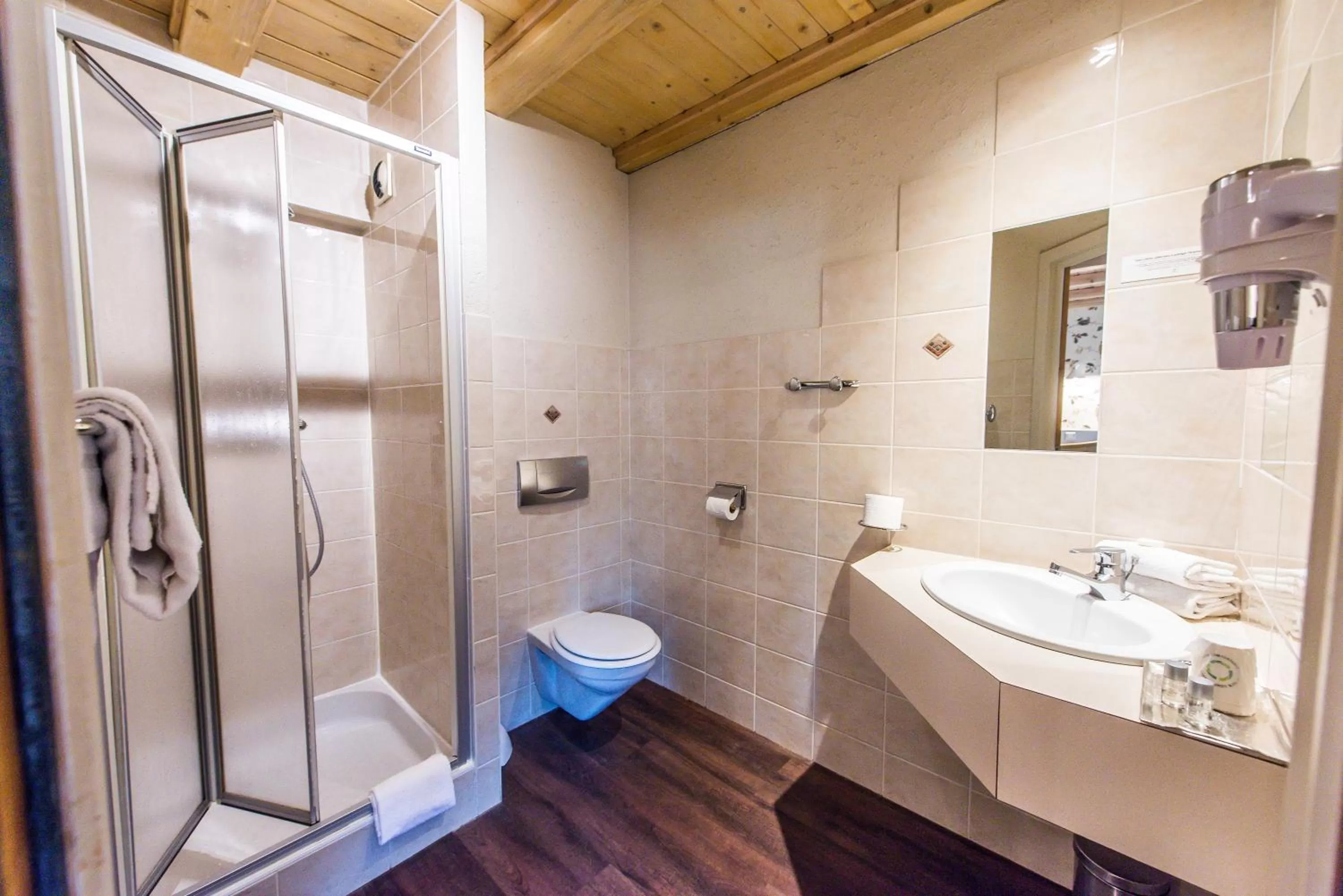 Bathroom in Hôtel Au Lion