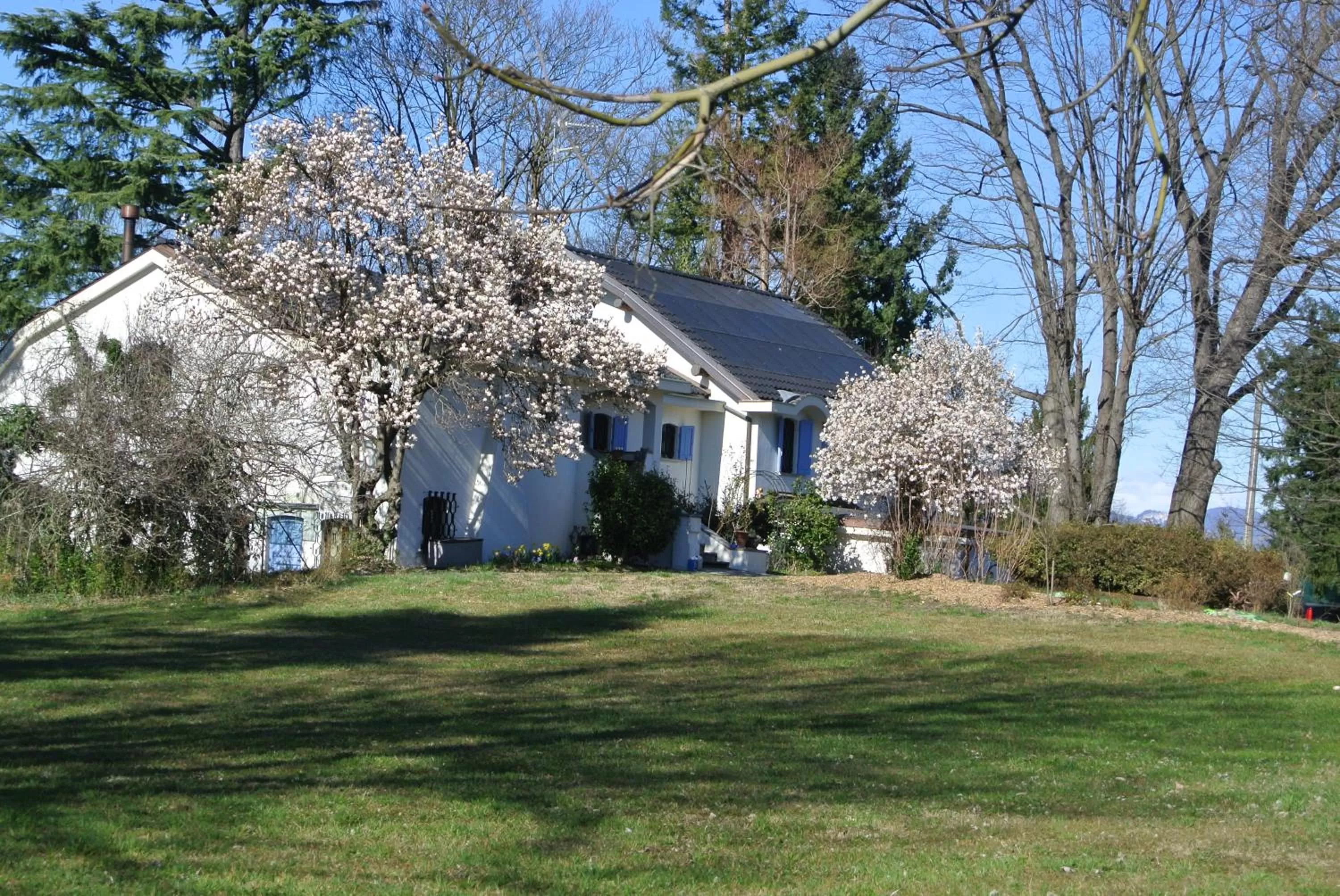 Garden in campagnoli
