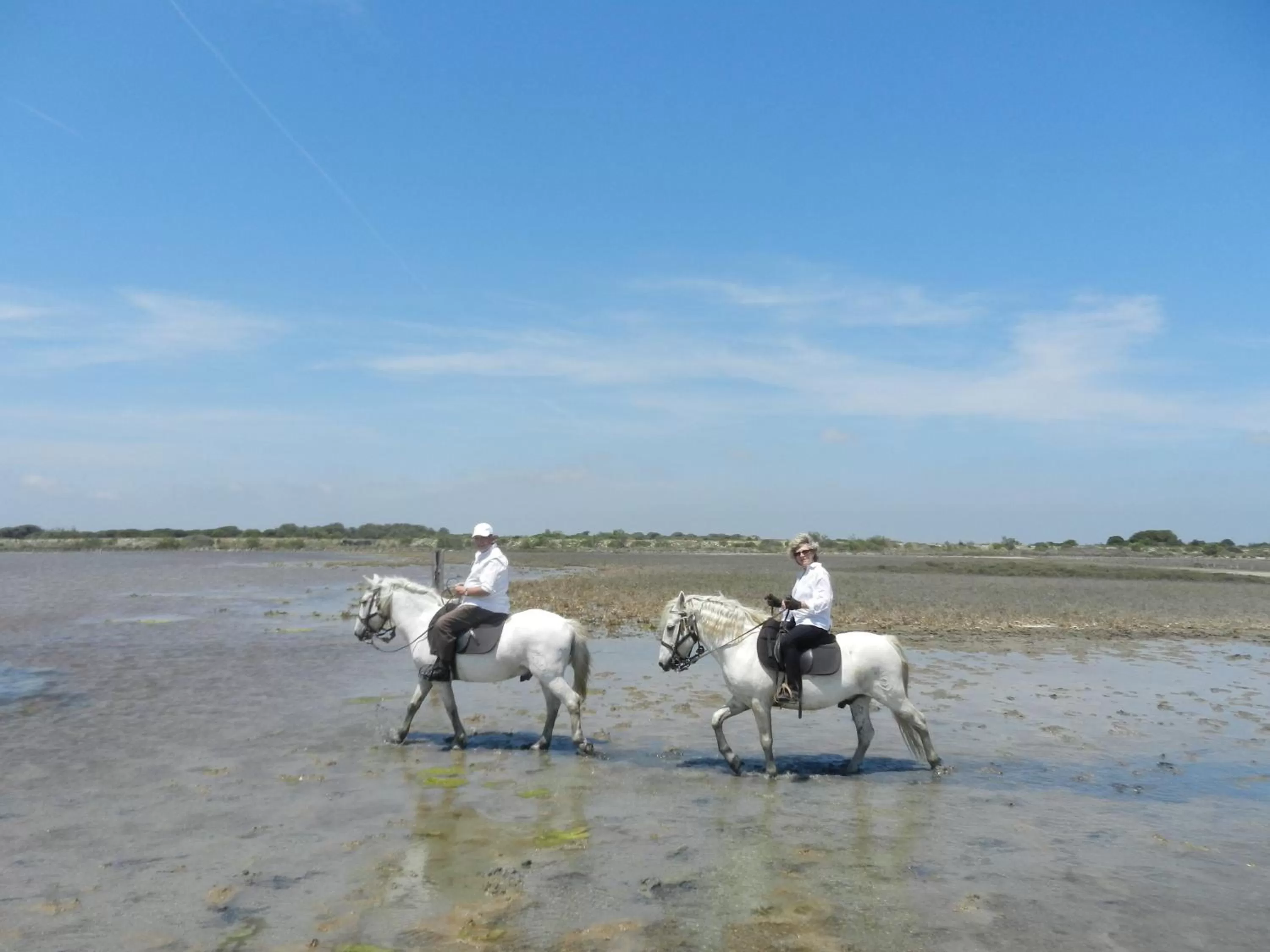 Horse-riding in Mas de la Grenouillère Hôtel et Centre équestre en pleine nature