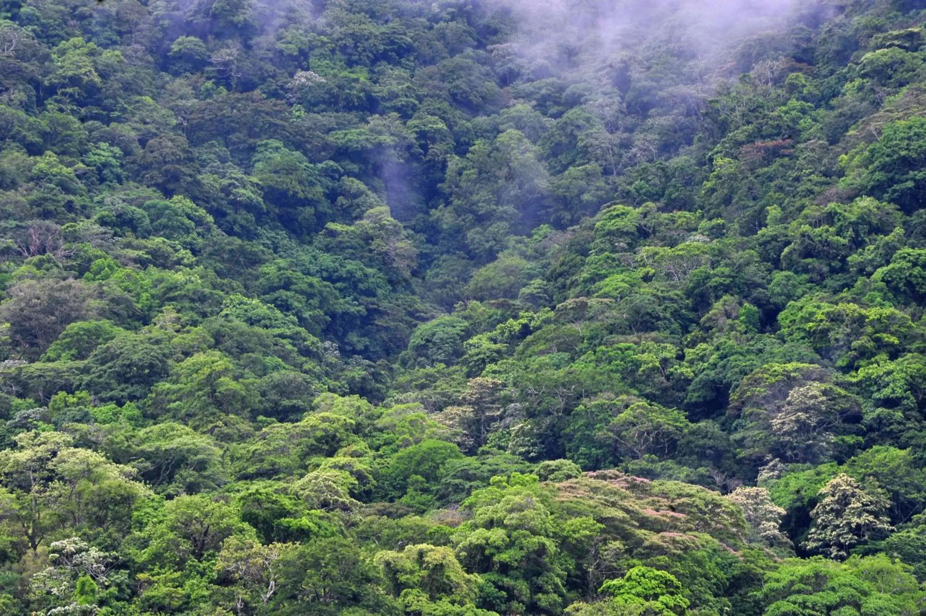 Natural Landscape in Ecobiosfera