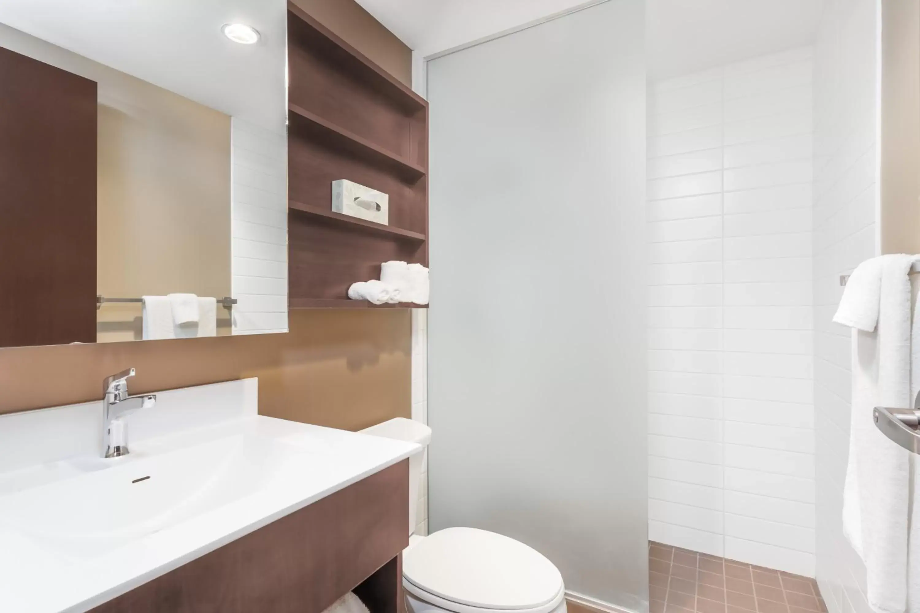 Bathroom in Microtel Inn & Suites by Wyndham Estevan