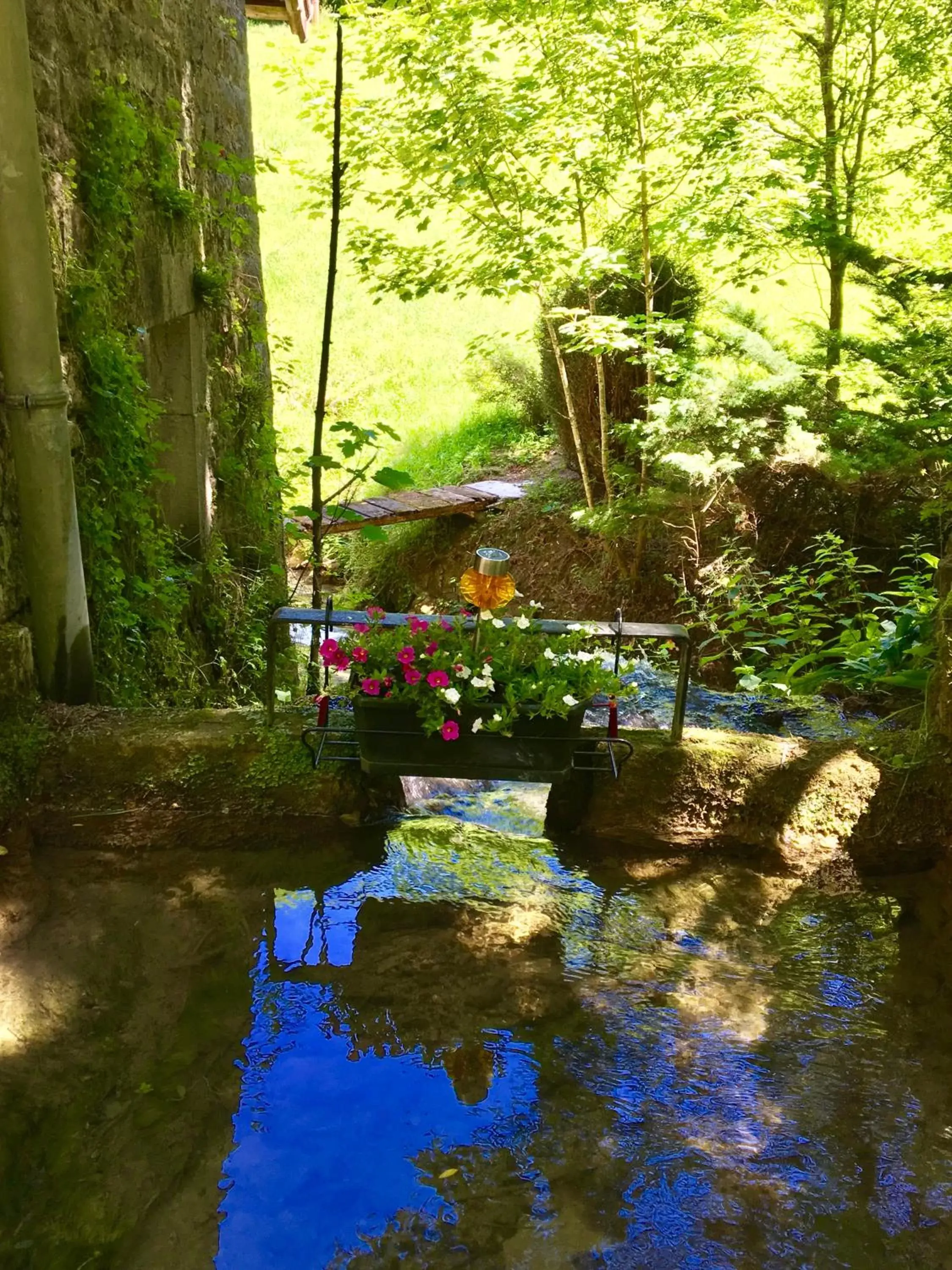 Garden in Domaine Du Moulin Vallée Heureuse