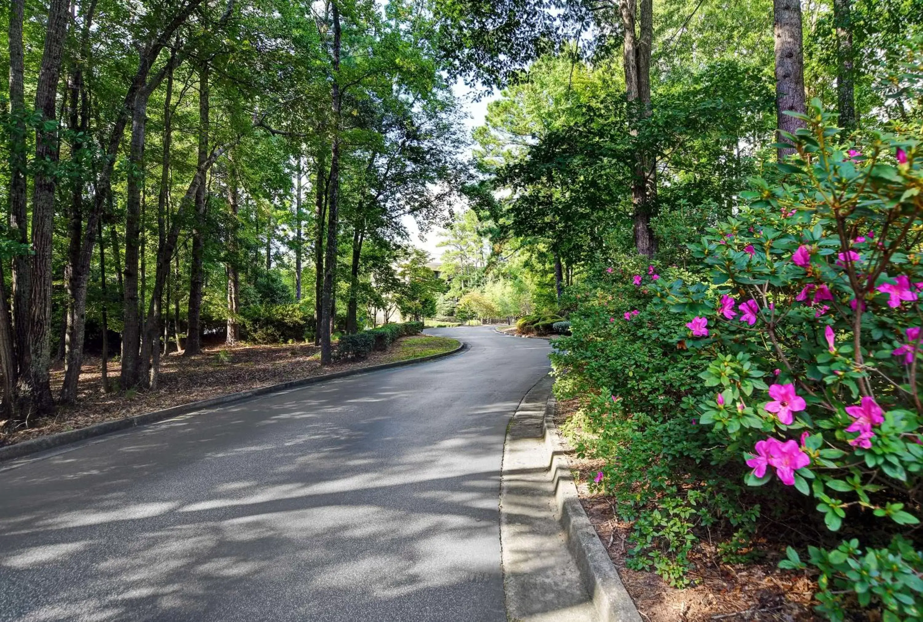 Garden in Hilton Peachtree City Atlanta Hotel & Conference Center