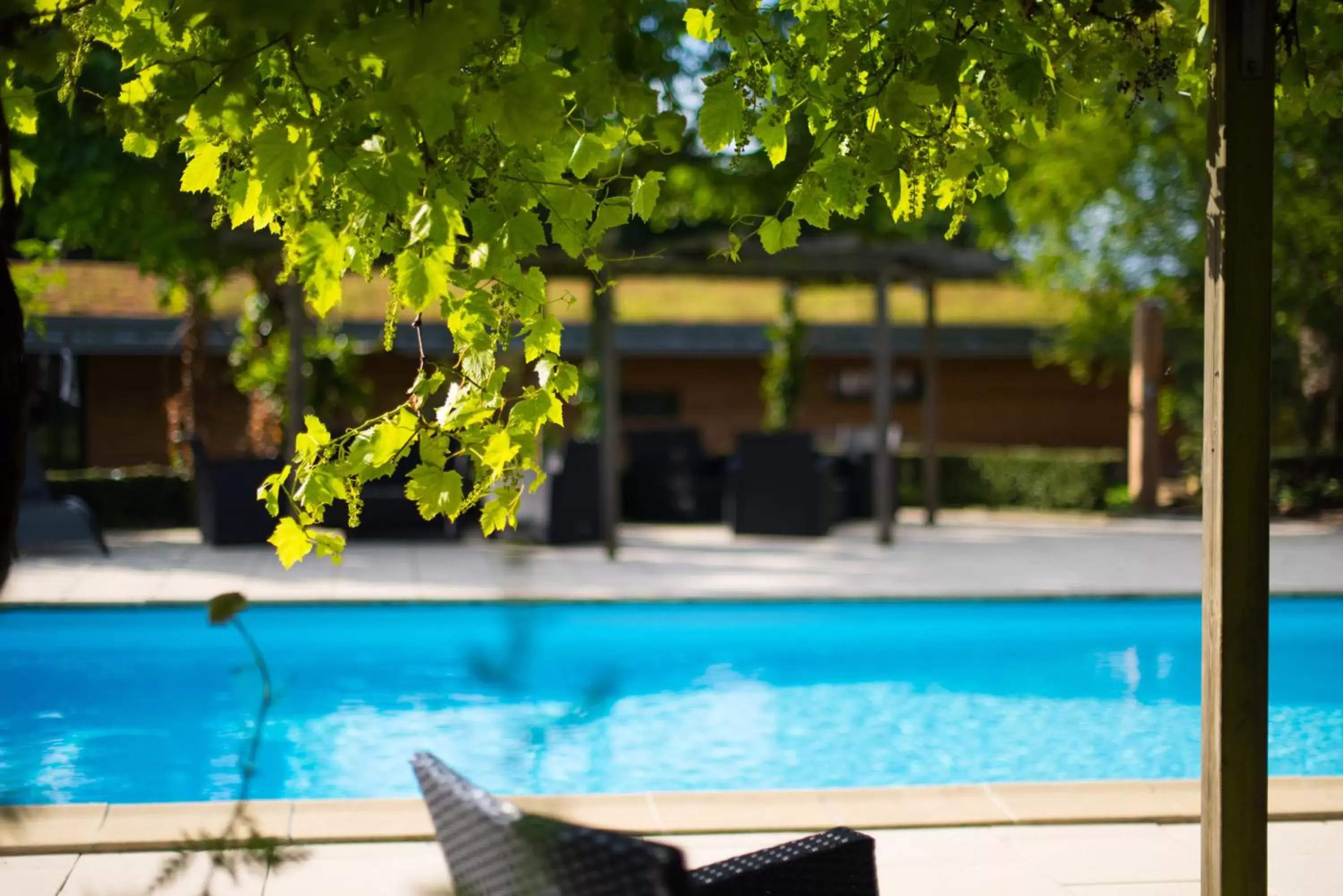 Swimming Pool in Logis Domaine du Moulin Cavier