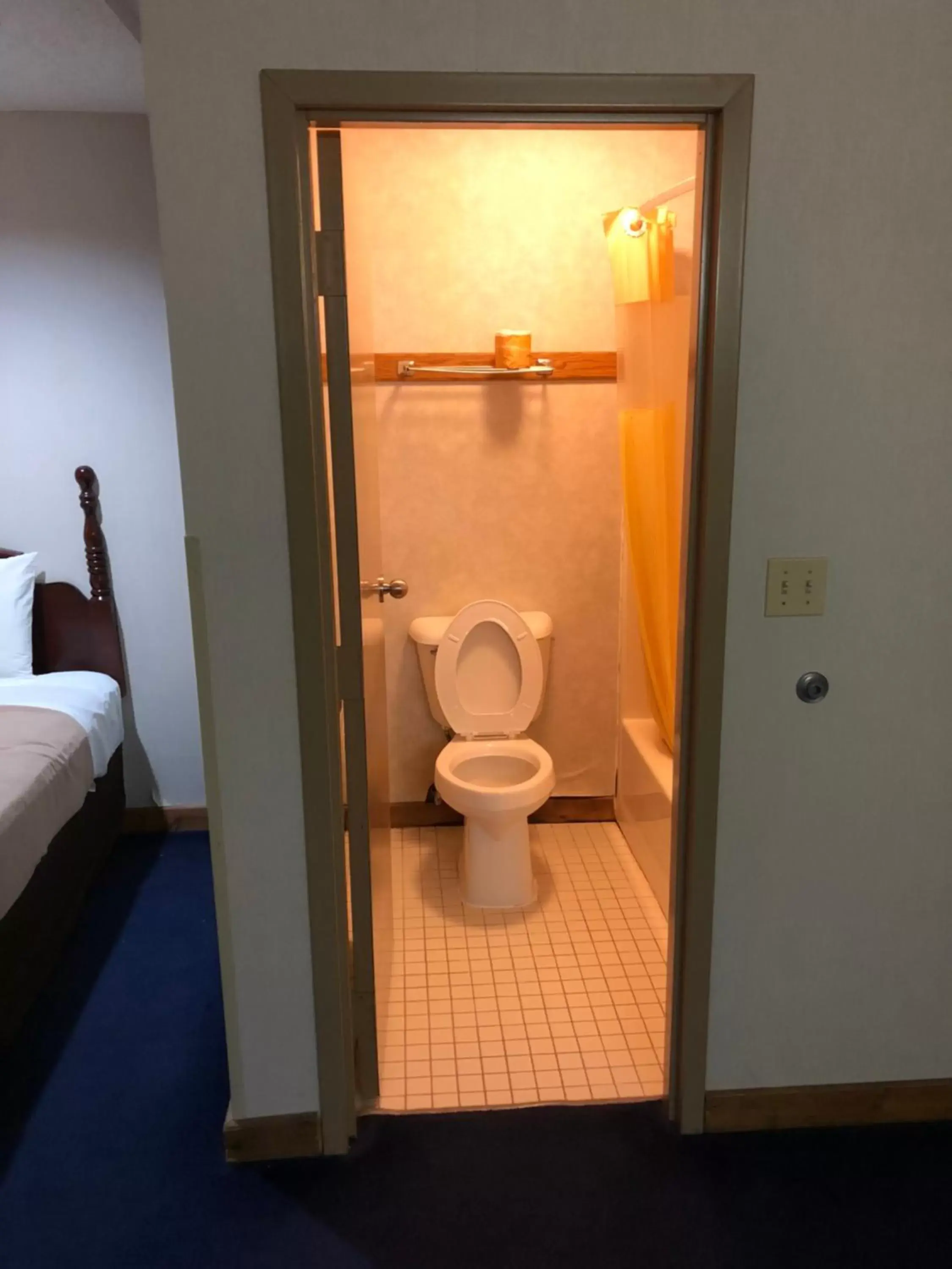 Shower, Bathroom in Denison Inn & Suites
