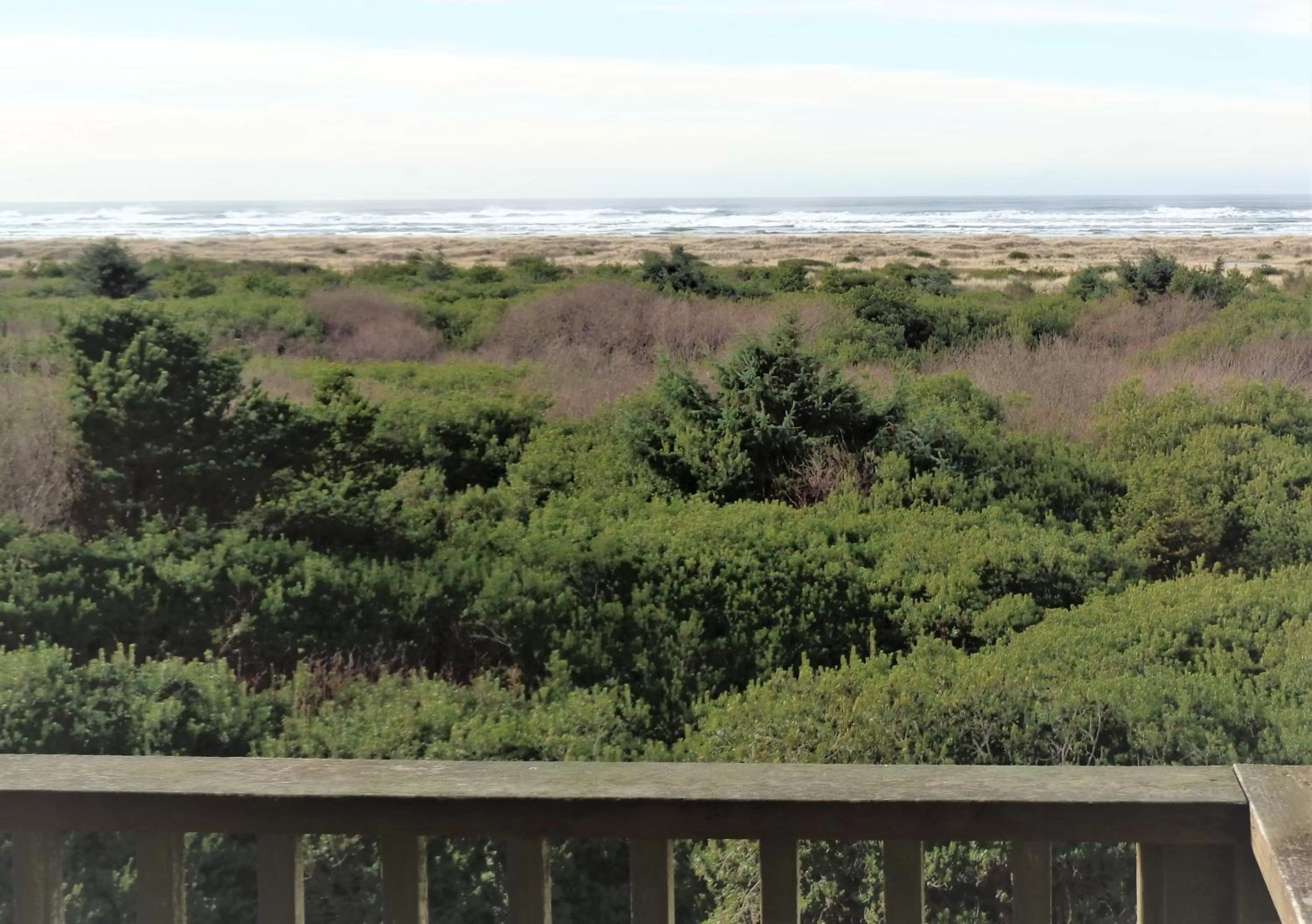 Natural landscape in The Polynesian Resort