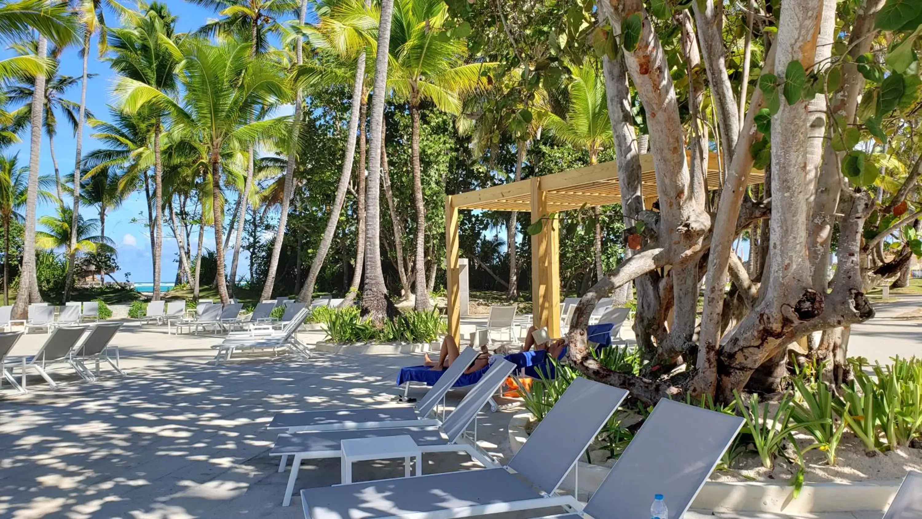 Beach in Grand Bavaro Princess - All Inclusive