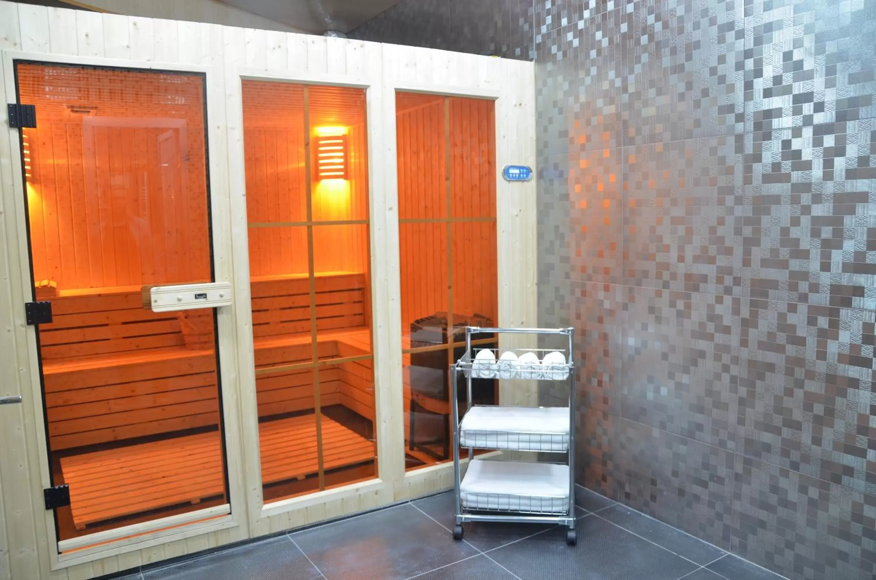 Sauna in Hotel Orion Tbilisi