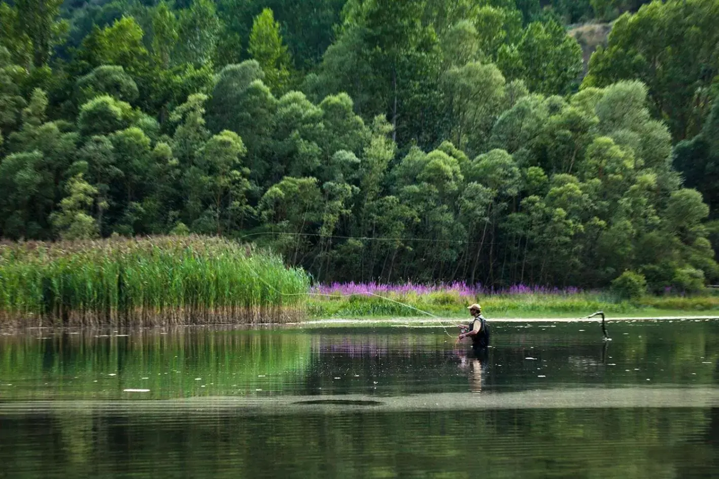 Natural landscape in Hotel Restaurant Les Brases