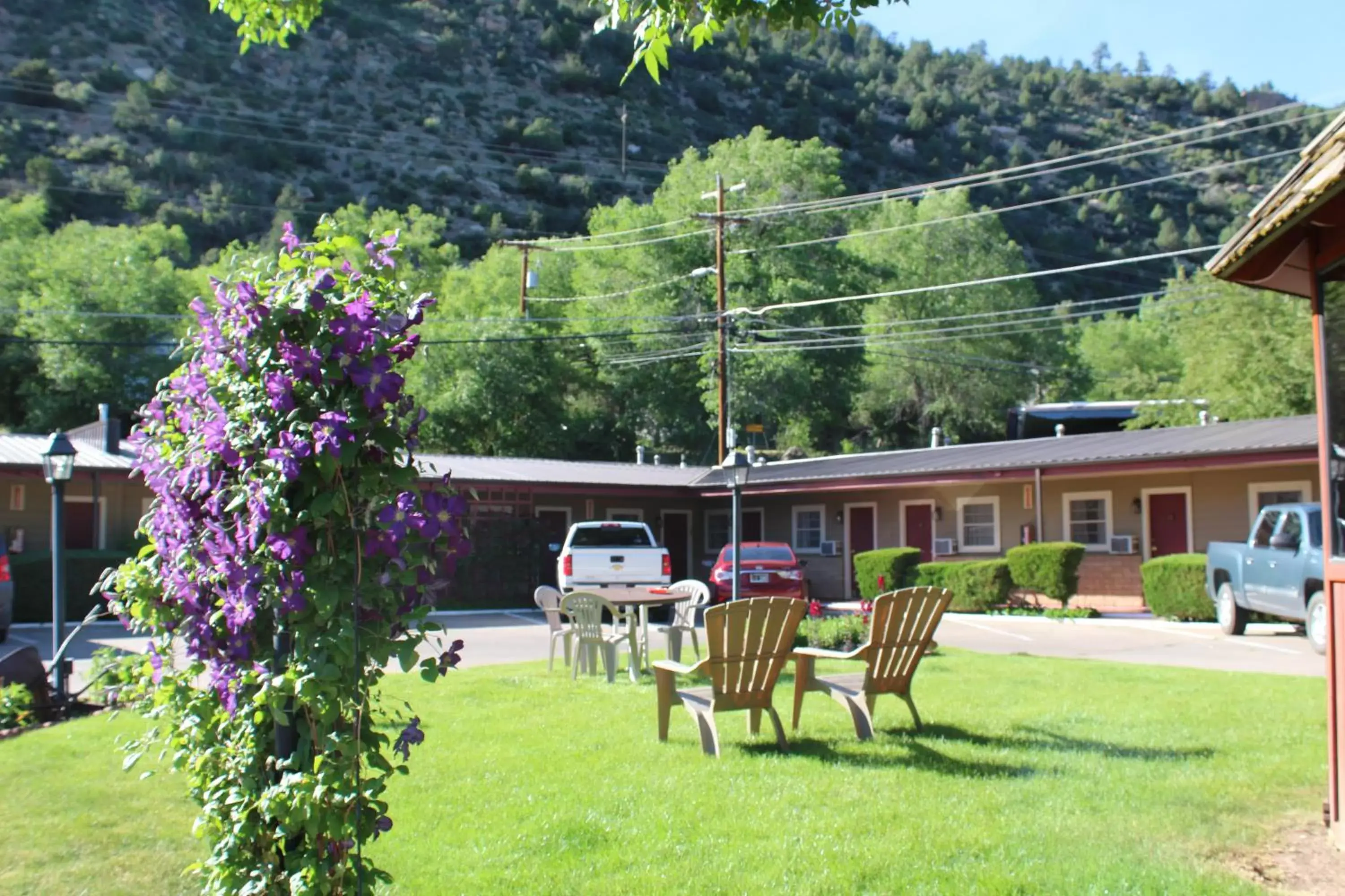 BBQ facilities, Garden in The Siesta Motel