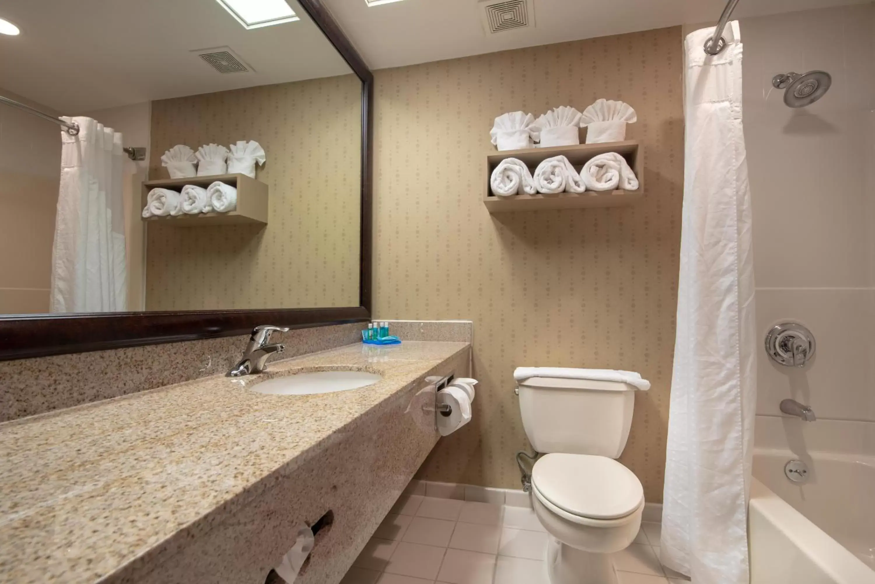 Bathroom in Holiday Inn Express Stony Brook-Long Island, an IHG Hotel