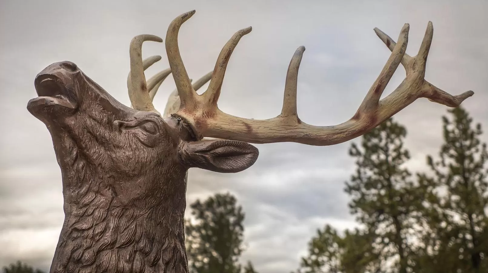 Decorative detail in Elktrace Bed and Breakfast
