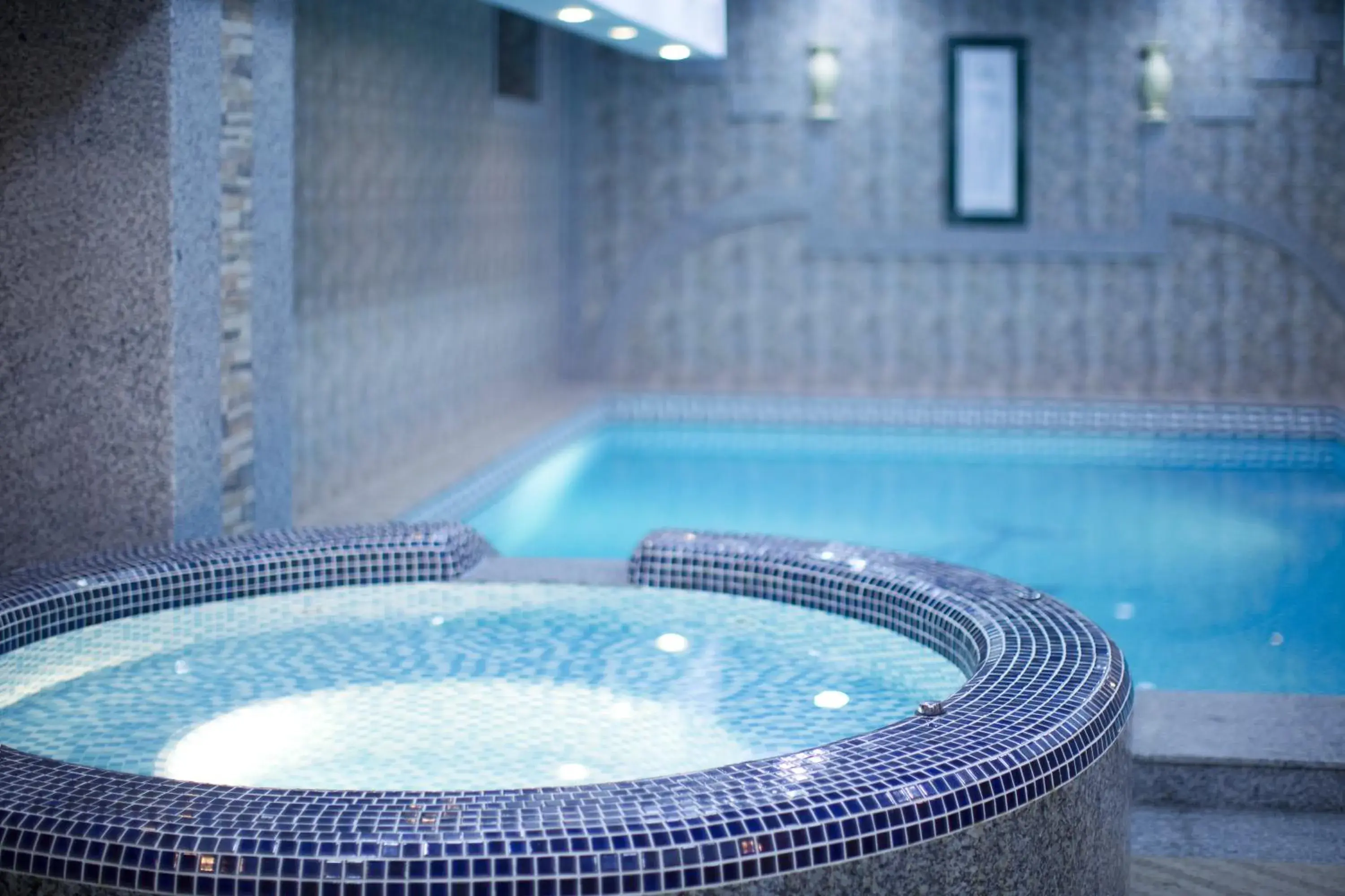 Spa and wellness centre/facilities, Swimming Pool in Central Hotel